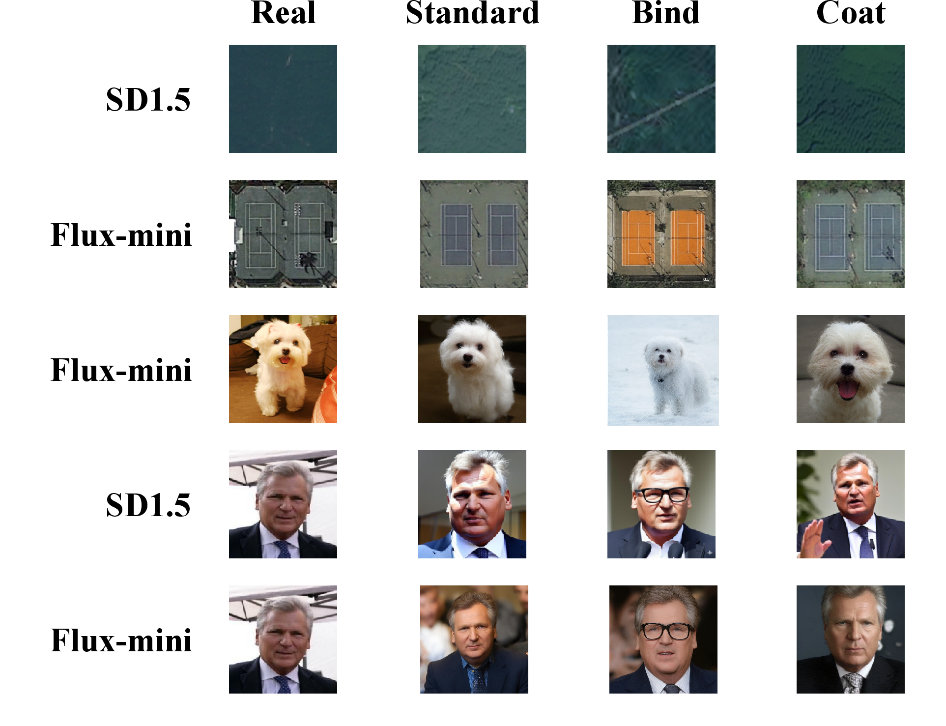 Figure 10: Real data and synthetic data generated by the vanilla backbone, bind, and coat schemes.