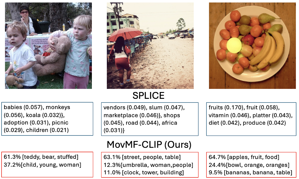 Figure 4: Qualitative comparison of semantic decomposition. Concept extraction results for SPLICE and MovMF-CLIP on representative scenes. Projection-based methods may emphasize generic or context-dependent terms, whereas our MovMF-CLIP produces a sparse probabilistic combination of semantically coherent cluster prototypes aligned with object-centric content.
