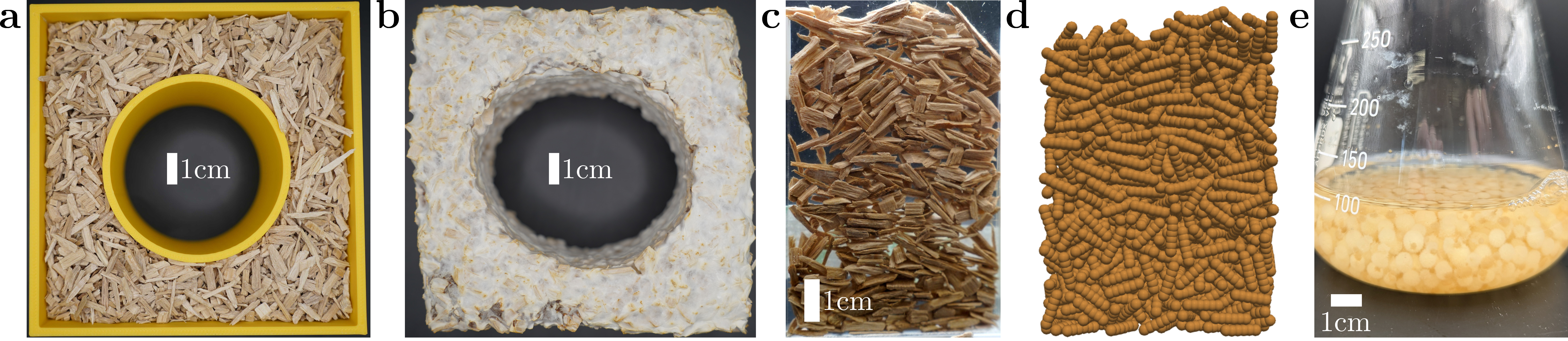 Figure 2: The manufacturing process of a mycelium-woodchip composite. a shows formwork in which woodchips are dropped. After inoculation with mycelium and a few weeks of growth, this becomes a mycelium-woodchip composite sample as shown in b. One method of creating the woodchip distribution is by depositing them in a container. c shows a side-view picture of such a deposition in a thin container, and d shows a discrete-element method based gravity deposition aiming to mimic this process. In e a picture of pure mycelium pellets is shown.