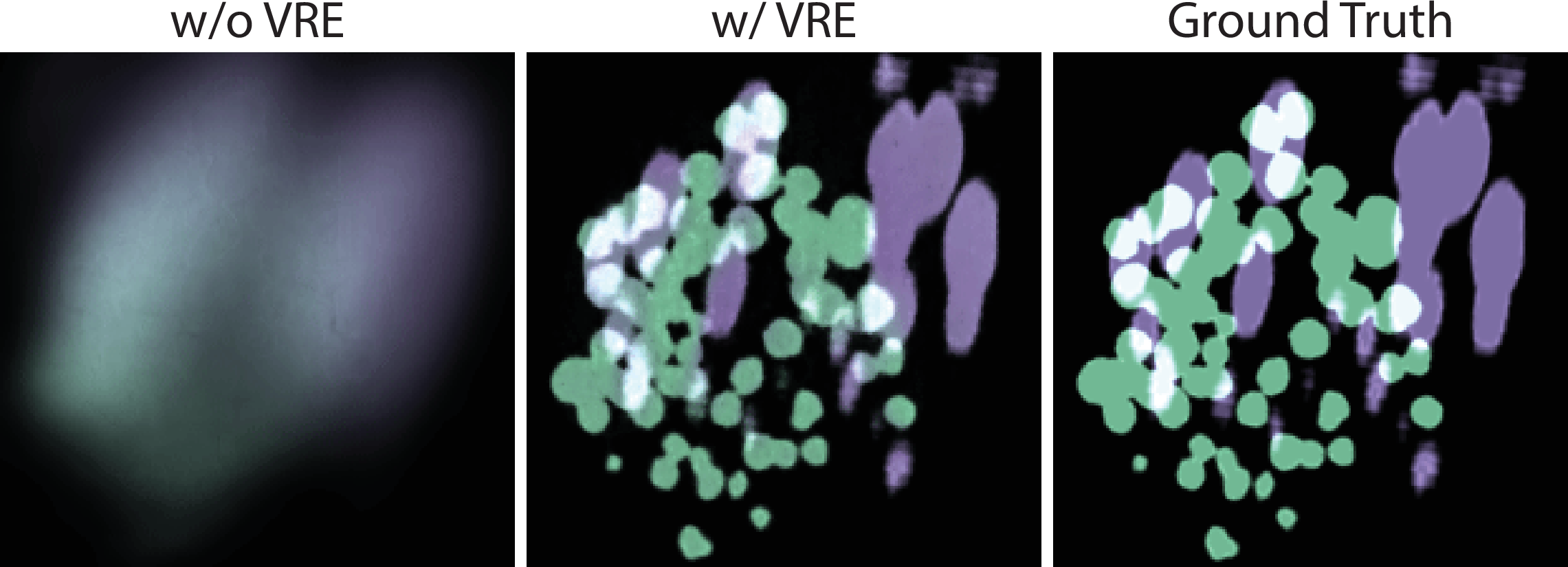 Figure 5: Reconstruction of scattering parameters (shown here as representative of all recovered volumetric parameters) on a slice through the volume. Omitting the VRE objective (Eq. 7 ) leads to overly smooth reconstructions, whereas incorporating it yields results closer to the ground truth.