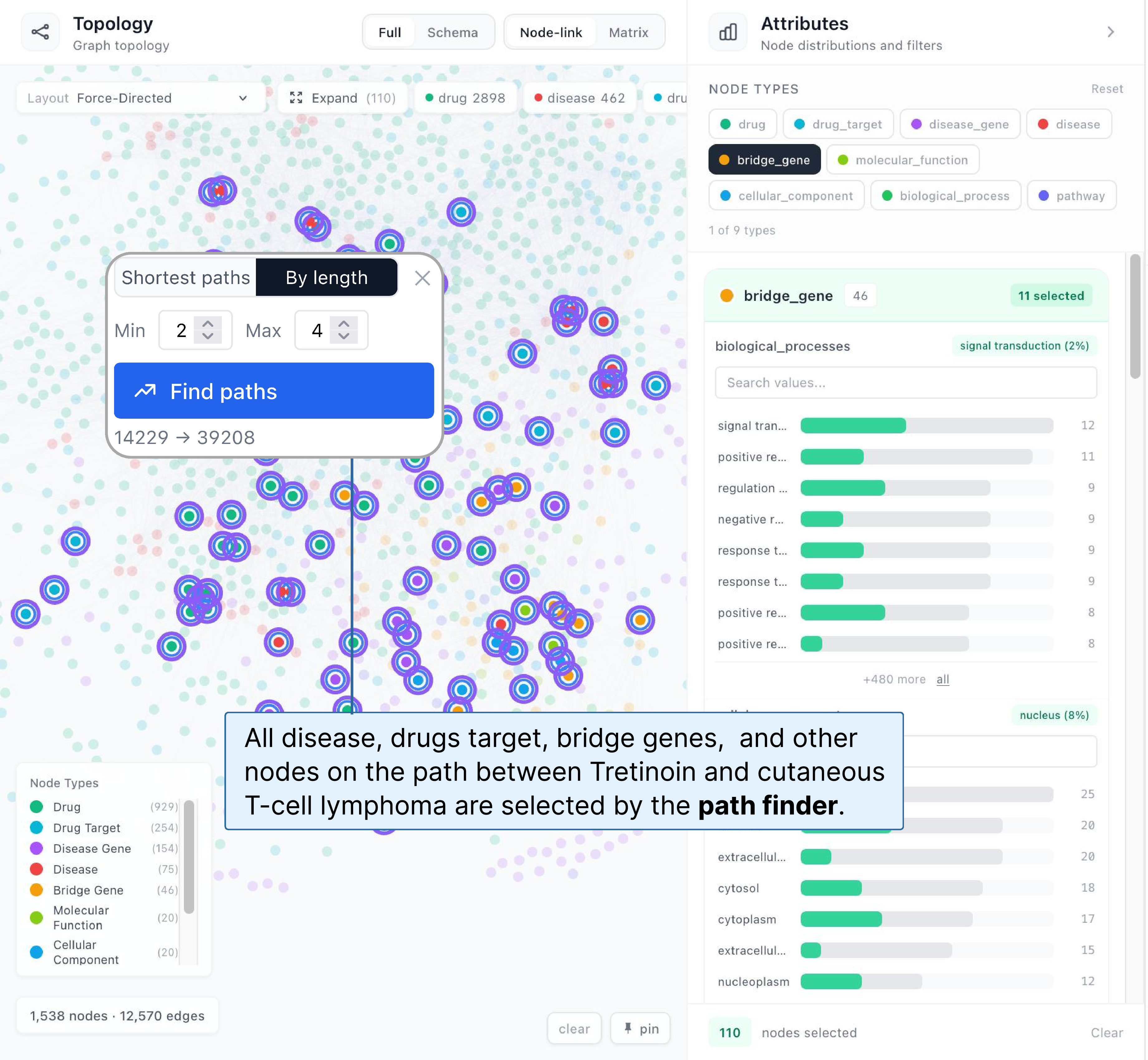 Figure 3: Path finder selects drug targets, disease genes, and shared intermediaries that link Tretinoin to CTCL.