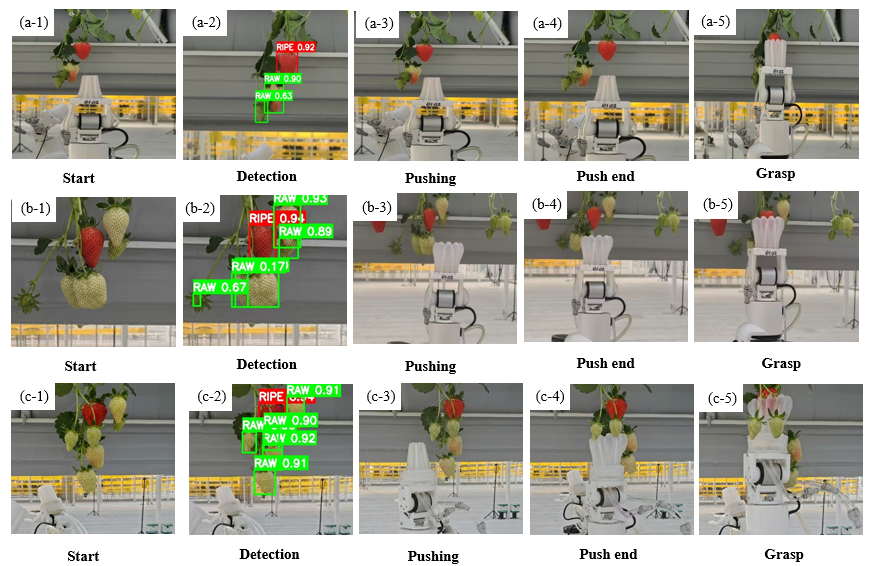 Figure 8: Real-world harvesting examples under different occlusion conditions. Rows (a), (b), and (c) correspond to slight, moderate, and dense occlusion scenarios, respectively. From left to right, columns (1)–(5) illustrate the initial scene, target detection, obstacle pushing, push completion, and final grasping.
