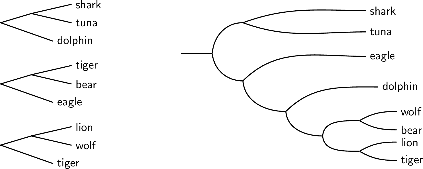 Figure 6: Triplet Reconstruction. Left: three triplet constraints of the form ab \mid c. A triplet is satisfied if \mathrm{LCA}(a,b) is a descendant of \mathrm{LCA}(a,c) (equivalently, \mathrm{LCA}(b,c)). Right: A rooted binary tree that satisfies the first and the second triplet, but does not satisfy the third (\textsf{lion wolf} \mid \textsf{tiger}).