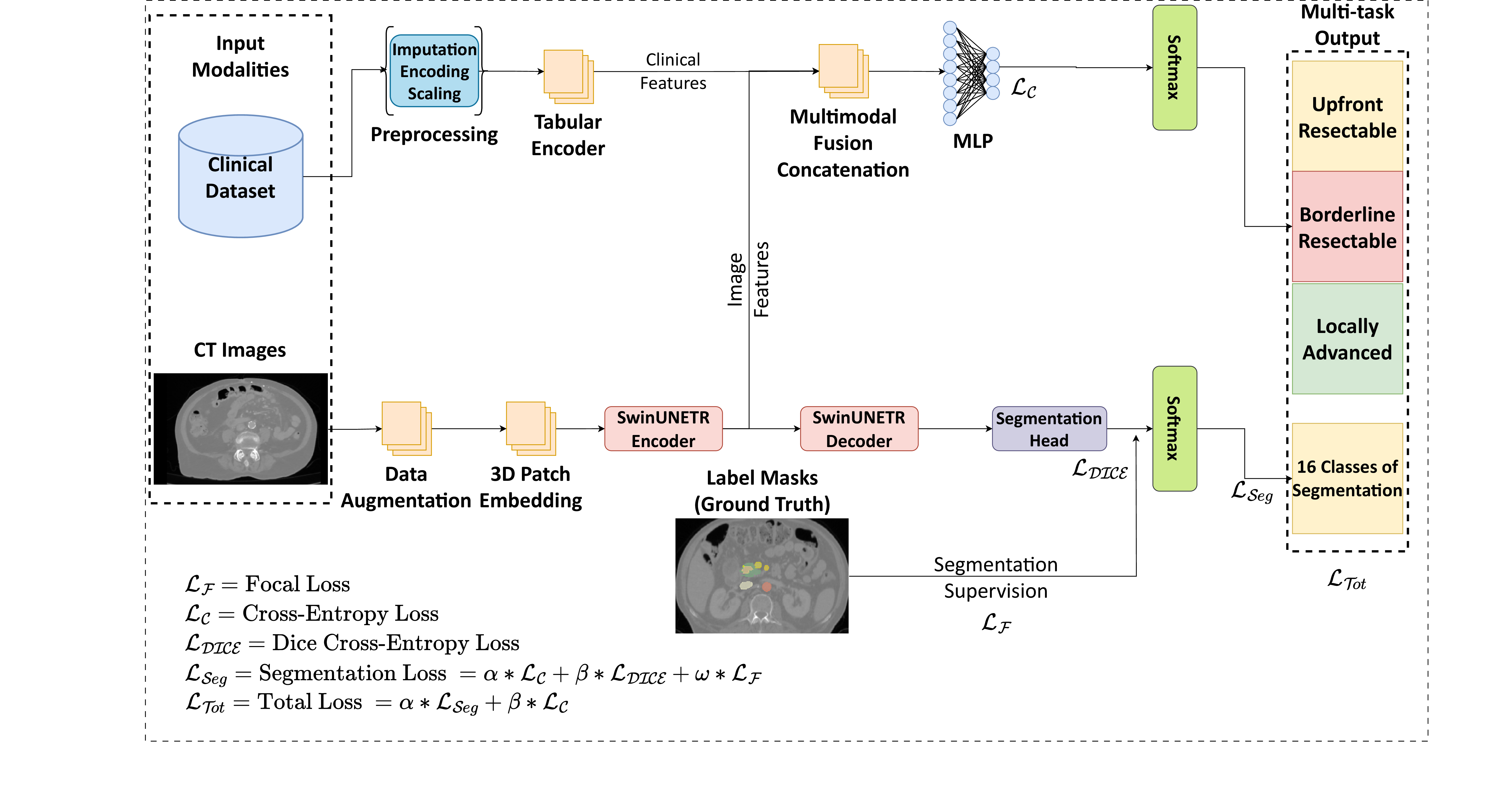 Figure 1: Proposed Network Architecture. During backpropagation, gradients from both the segmentation decoder and the classification fusion head are propagated through the shared encoder. This joint optimization enables the encoder to learn anatomically meaningful, discriminative features for resectability prediction.