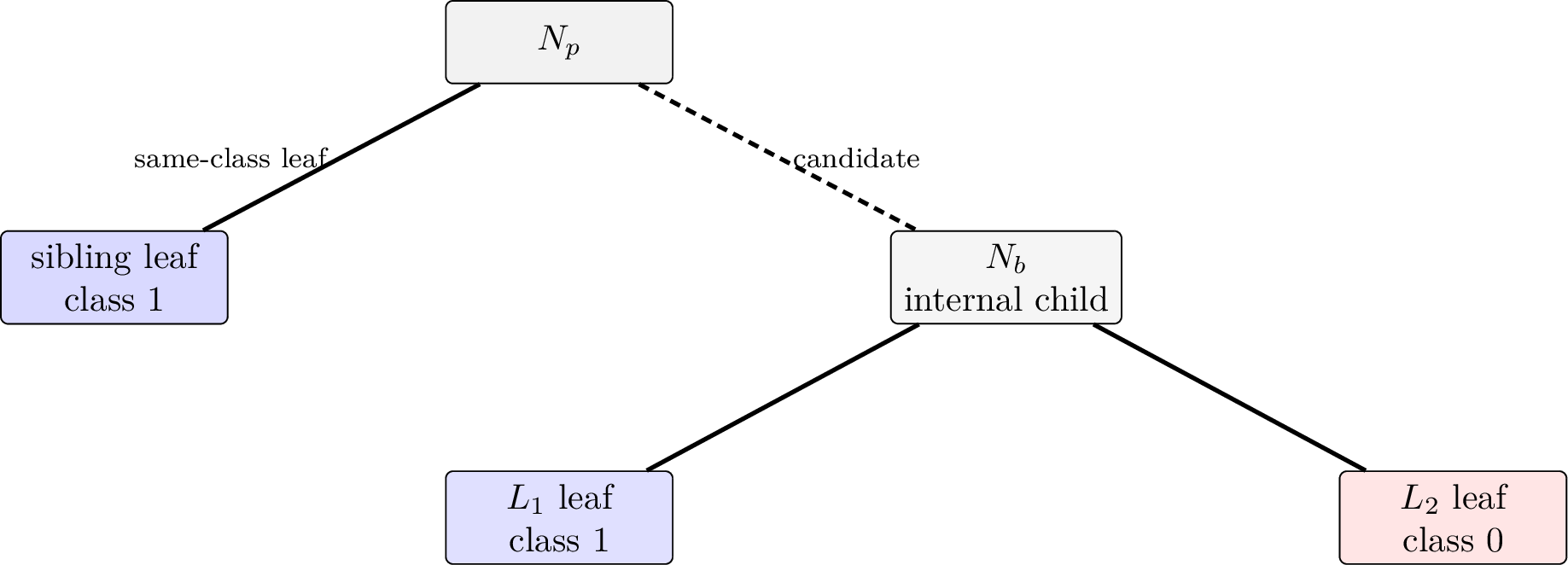 Figure 2: Sibling-leaf certificate for class 1. The dashed link is removable for the same-class descendant L_1, independently of its C1/C0 orientation.