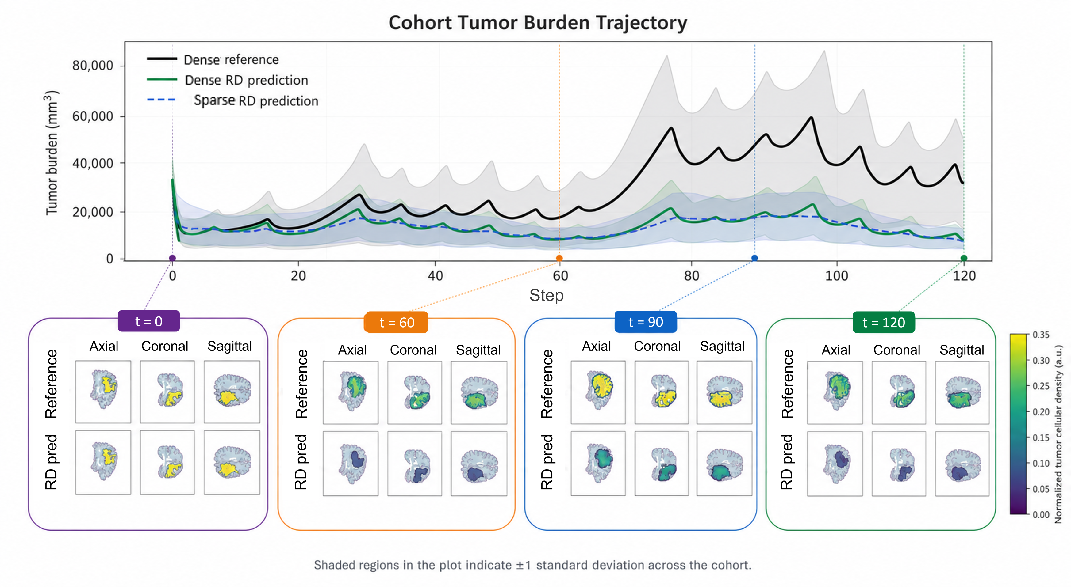 Figure 4: Cohort-level tumor-burden trajectories over the 120-step controlled rollout. The black curve denotes the reference trajectory, while the green and blue curves denote baseline RD predictions evaluated under dense and sparse simulated-observation settings. Shaded regions indicate \pm 1 standard deviation across patients. Insets show anatomical slices from an illustrative patient at selected simulation steps, linking temporal burden mismatch to spatial underestimation by the RD model.