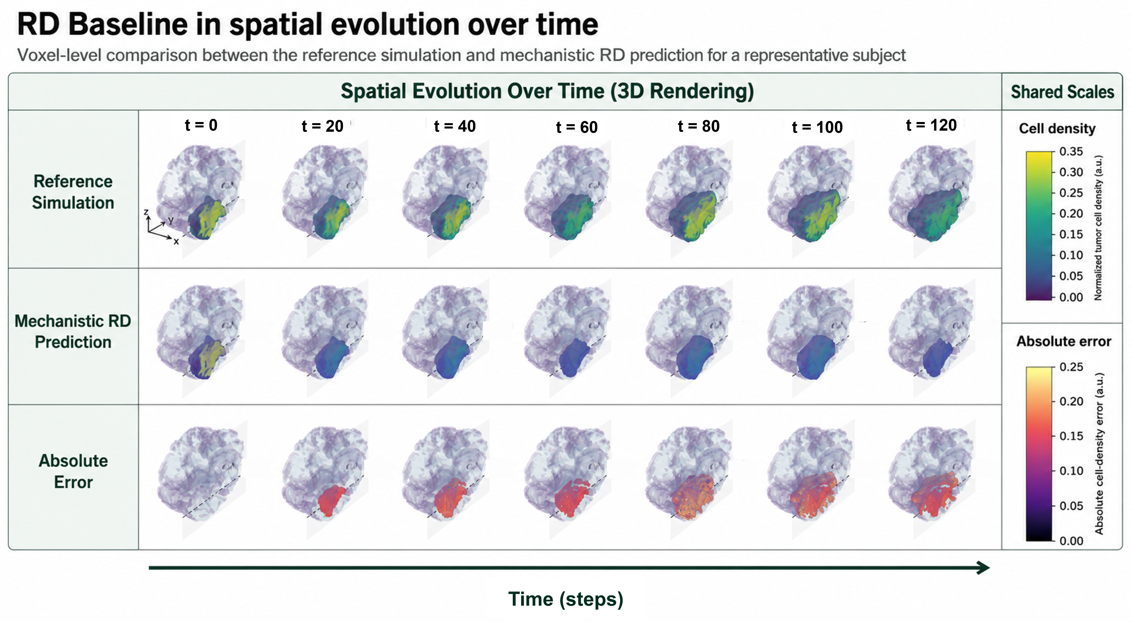 Figure 5: Spatial evolution of baseline RD error over the 120-step rollout for an illustrative patient. Columns show selected time points from simulation step 0 to step 120. Rows show the reference state, baseline RD prediction, and absolute error using shared color scales. Error emerges after initialization and accumulates as the baseline RD model underestimates heterogeneous tumor density during long-horizon recursive prediction.
