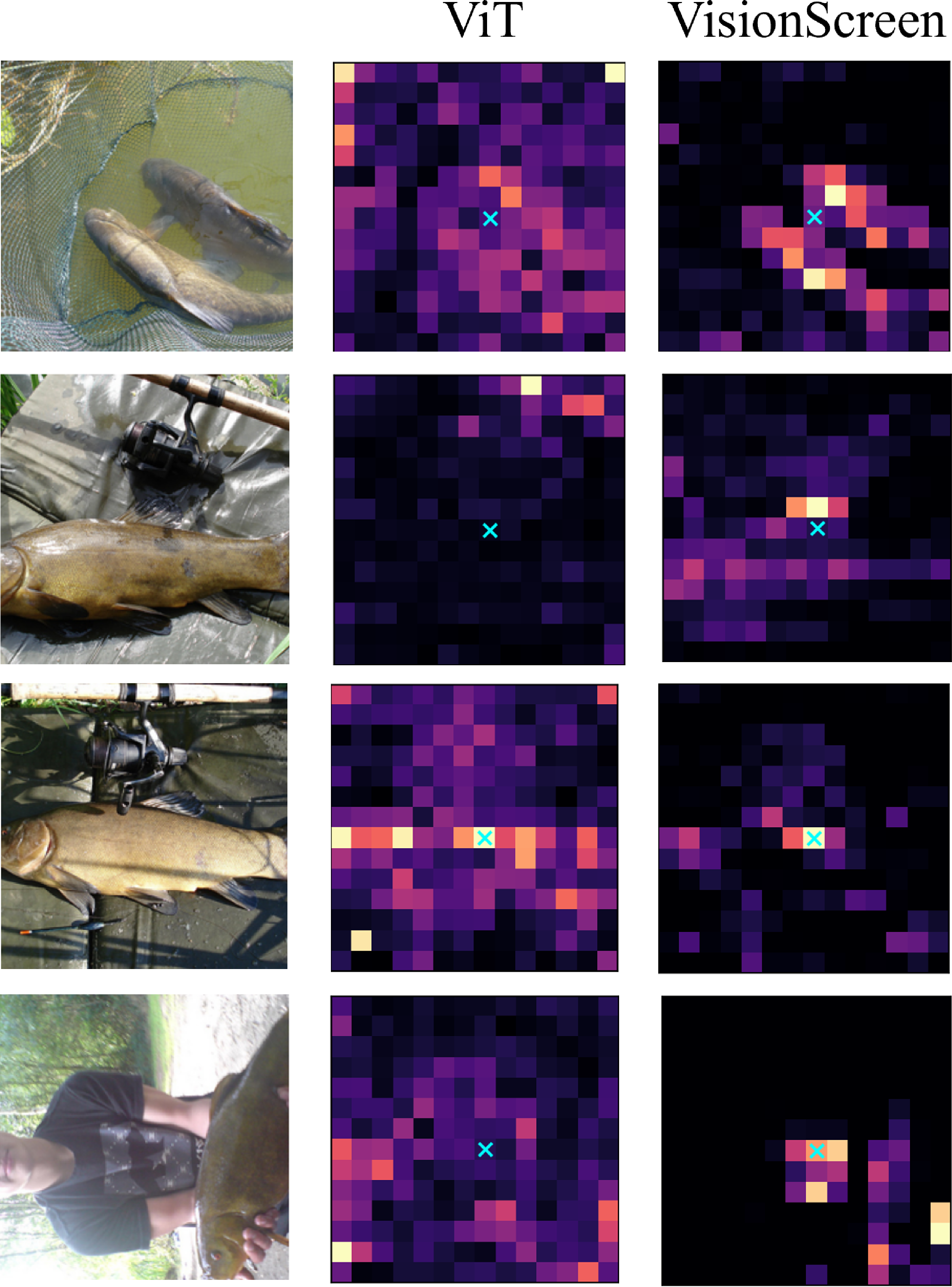 Figure 4: Visualization of interactions from a specific patch (marked with ×) to all patches.