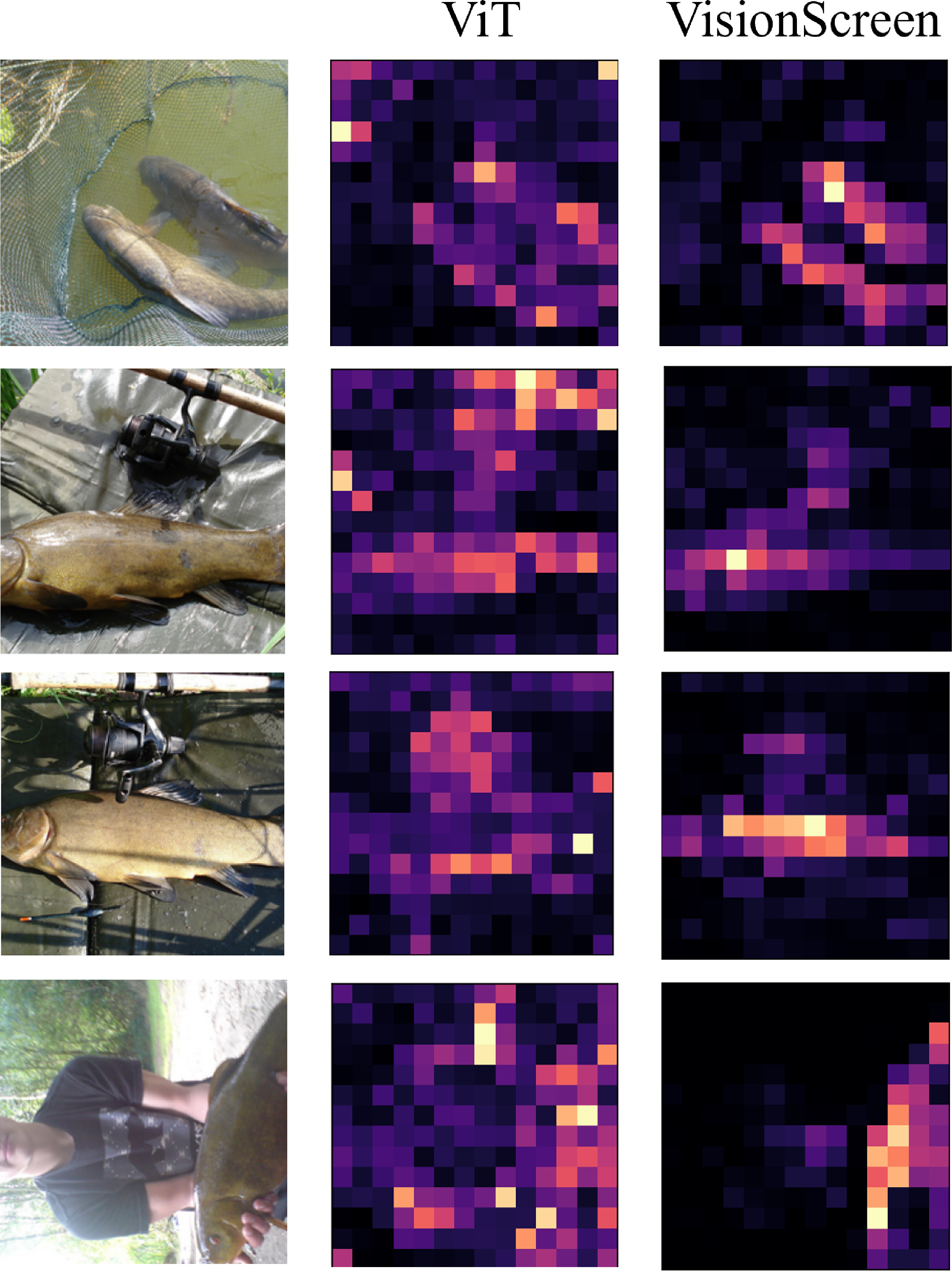 Figure 3: Visualization of CLS-to-patch interactions. For ViT, we visualize softmax attention weights. For VisionScreen, we visualize relevance scores before value aggregation.