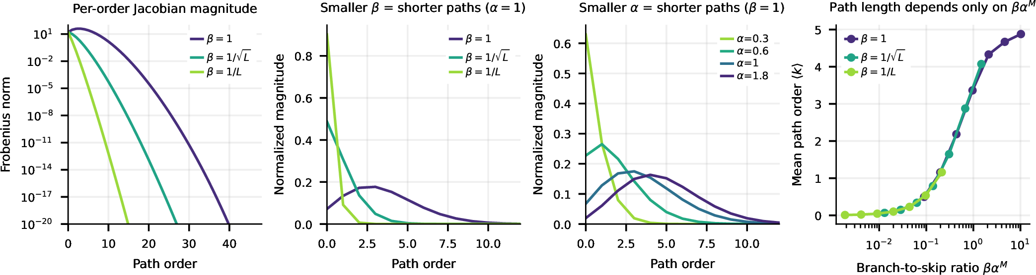 Figure 3: Short paths (mostly skip connections) dominate the input–output Jacobian magnitude; a smaller branch scale \beta or initialization scale \alpha shifts it toward even shorter paths. The path lengths depend only on the nominal branch-to-skip ratio \beta\alpha^{M}. Path decomposition of a Pre-Norm residual MLP at initialization (d = 256, L = 48, 4\times width expansion; mean over 8 seeds). (a) Per-order Jacobian magnitude: the Frobenius norm of the order-k paths, those through exactly k feedforward blocks and L-k skip connections; order 0 only travels through the skip. (b) The same magnitudes normalized to sum to one; a smaller branch scale \beta concentrates the magnitude on shorter paths. (c) A smaller initialization scale \alpha also shifts the magnitude toward shorter paths. (d) Mean path order \langle k \rangle, sweeping the initialization scale \alpha at each of three branch scales \beta; \langle k \rangle depends only on the branch-to-skip ratio \beta\alpha^{M} (M the number of branch matrices), so all points fall on a single curve.
