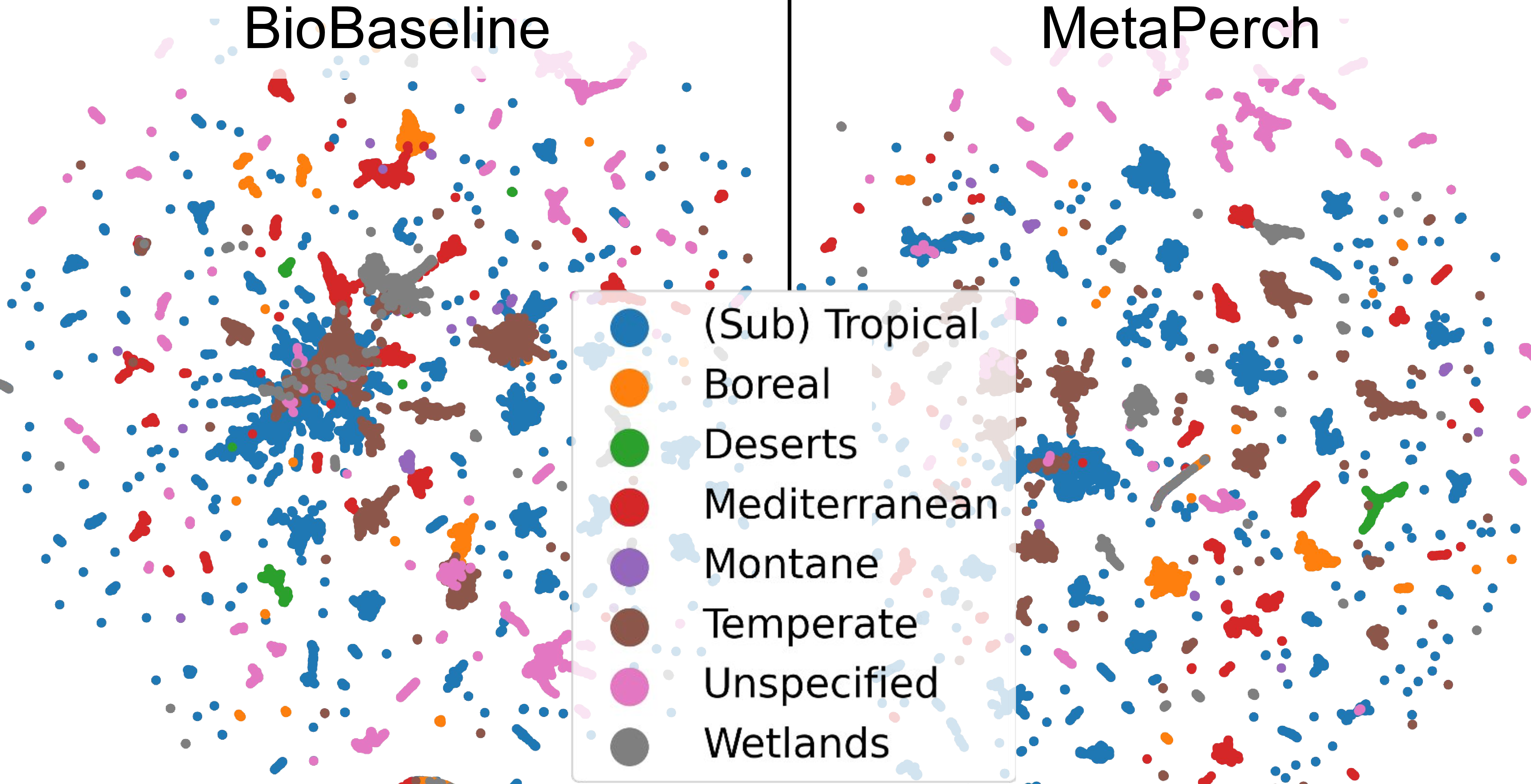 Figure 6: Embedding visualizations. 2D UMAP projections of BioBaseline(left) and MetaPerch(right) embeddings of WABAD windows, colored by biome.