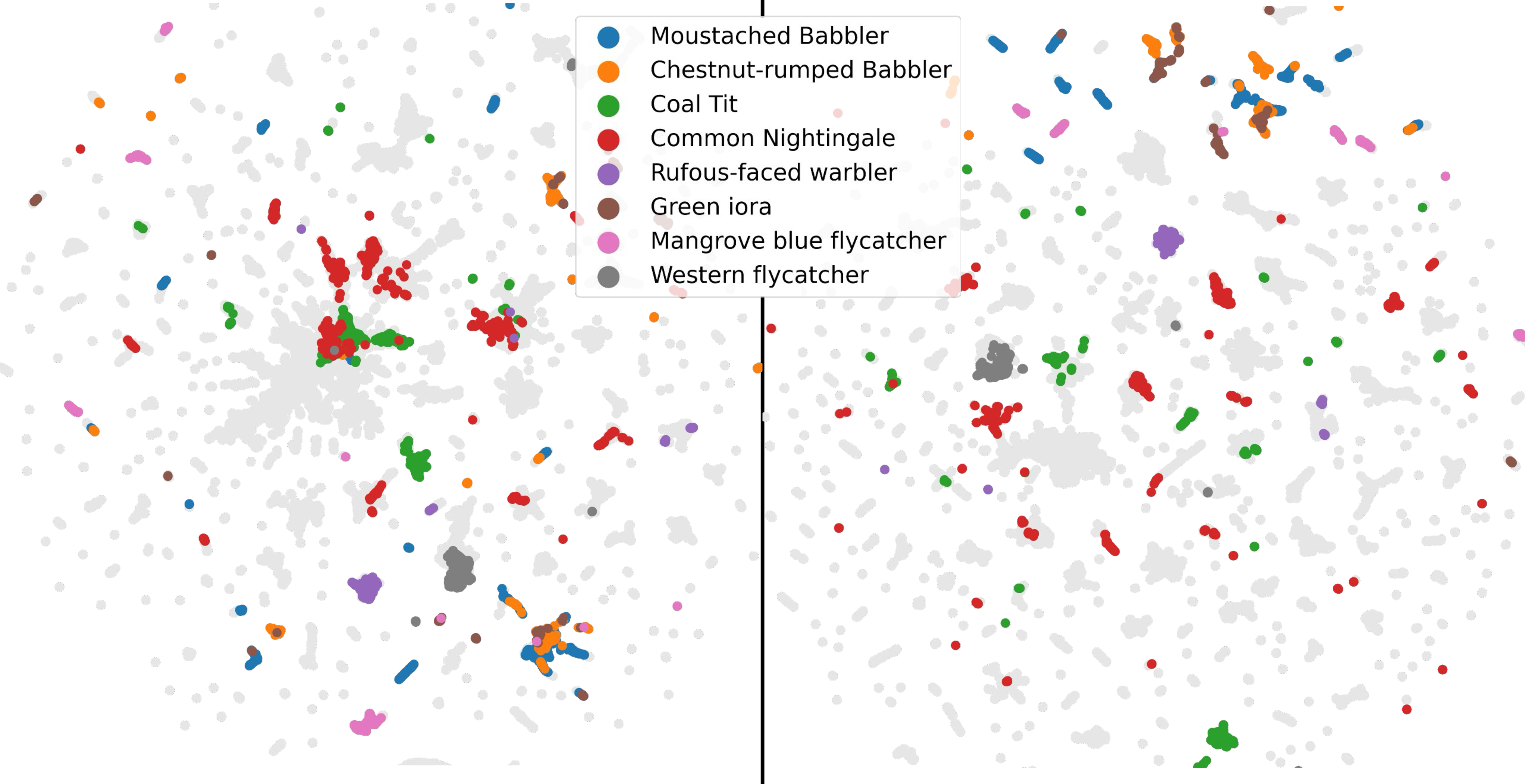 Figure 14: WABAD UMAP plots—select species. Embeddings of windows are colored by the species, for a few specific species Left: BioBaseline. Right: MetaPerch.
