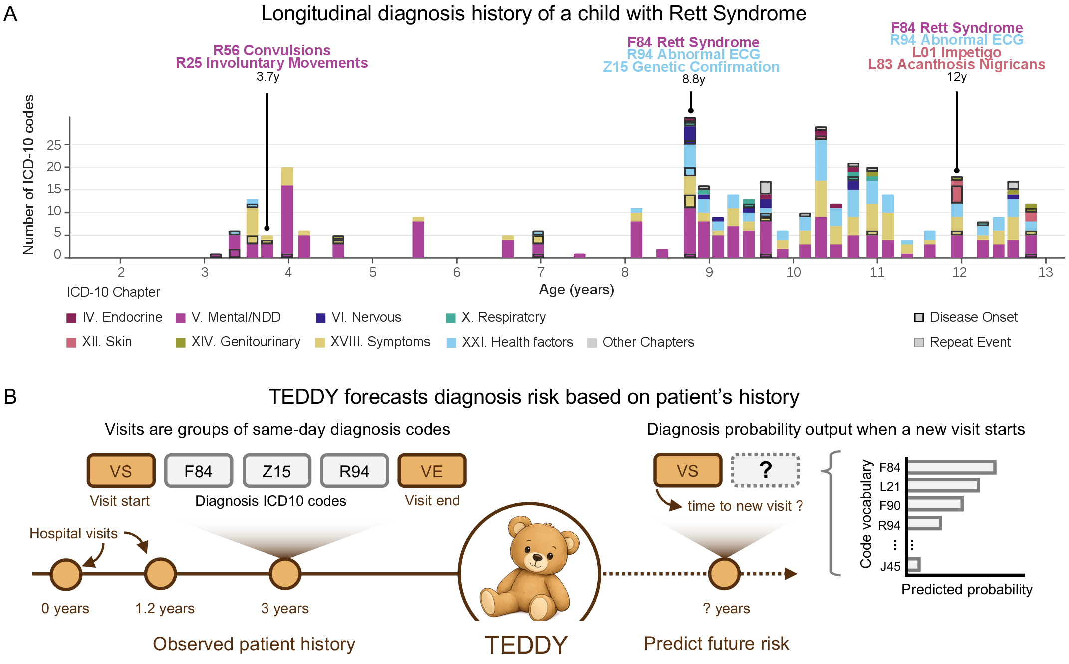 Figure 1: TEDDY forecasts pediatric diagnosis risk from longitudinal visit histories. (A) Example de-identified diagnostic trajectory for a child with Rett syndrome. Each bar summarizes ICD-10 diagnoses within a 60-day age window from approximately 2 to 13 years, stacked by ICD-10 chapter. Outlined segments mark first recorded occurrences of diagnoses, whereas filled segments indicate repeat events. The annotated milestones illustrate how early neurodevelopmental, genetic-confirmation, neurologic, and later skin or autonomic features appear along the same child’s longitudinal record. (B) Overview of the visit-boundary prediction task. A child’s history is represented as a sequence of hospital visits, where each visit groups same-day ICD-10 diagnosis codes between a visit-start (VS) and visit-end (VE) token. Given the observed visit history, TEDDY predicts both the time to a future visit and the diagnosis probability distribution over the closed ICD-10 vocabulary at the start of that visit. Scoring at the visit boundary means predictions are made before any same-day diagnosis codes are visible, preventing within-encounter leakage while preserving the co-occurrence structure of diagnoses recorded during the same clinical visit.