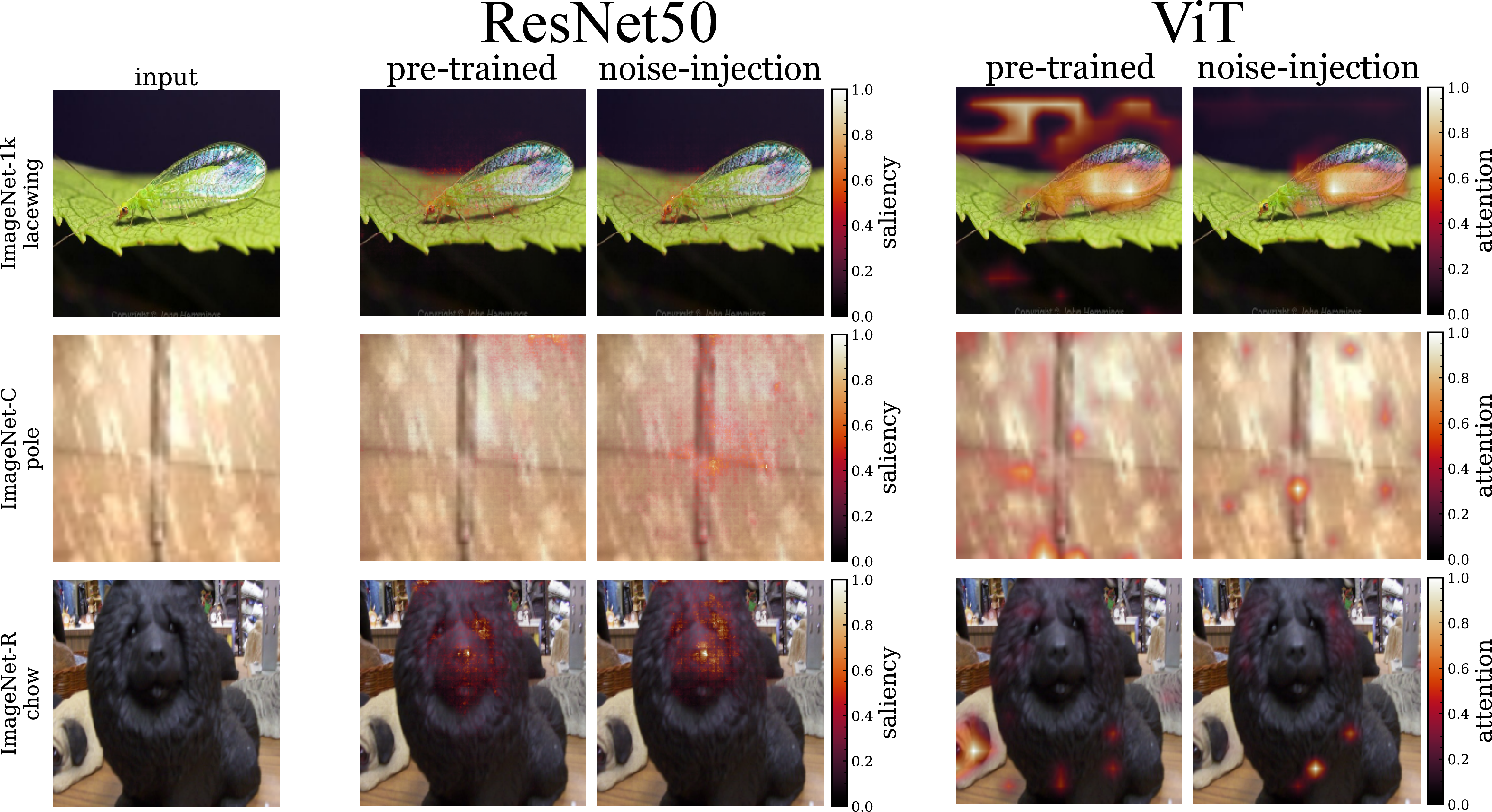 Figure 7: Visualization of the effect of interleaved noise injection on model focus for ResNet50 (left) and ViT (right). The rows show samples from ImageNet-1k (clean), ImageNet-C (corrupt) and ImageNet-R (OOD), with saliency and attention maps both before and after fine-tuning with noise injection. For the ResNet50, we calculate the gradient-based saliency maps; for the ViT, we show attention maps of the final layer (CLS) attention. After fine-tuning with interleaved noise, the ResNet50 saliency maps for the corrupt and OOD samples move away from high-frequency local features toward broader spatial regions, consistent with the Jacobian regularization effect derived in 2 . The ViT attention maps show an opposite effect: Fine-tuning with interleaved Gaussian noise produces more uniform attention across patches and in particular, helps the model focus on the correct local features in all samples.