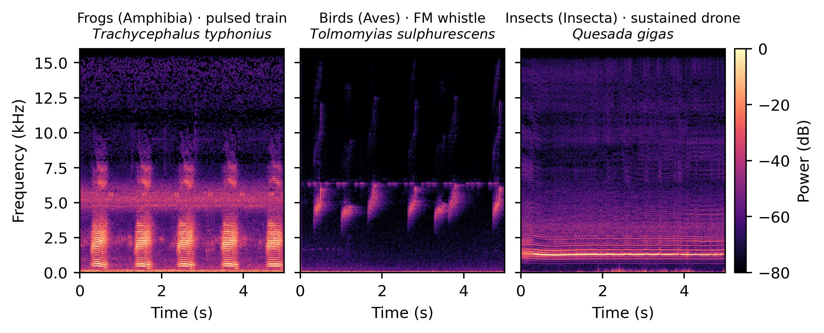 Figure 1: Representative spectrograms of three vocalizing taxa in BirdCLEF 2026. The taxa overlap in frequency. Frogs produce pulsed call trains, birds frequency-modulated whistles, and insects a sustained broadband droning sound.