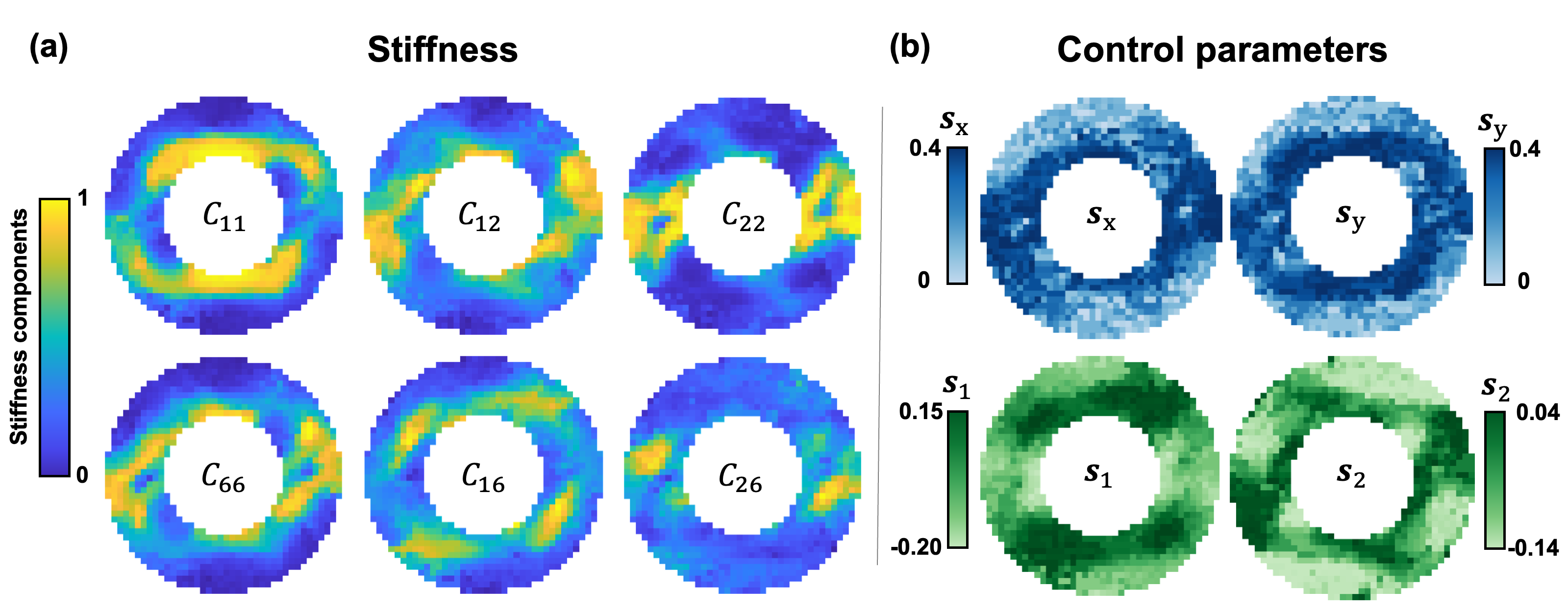 Figure 19: Optimized stiffness distribution and projected control parameter fields in the cloaking region. (a) Spatially varying distributions of the six stiffness components, where the angular distribution pattern reflects the directional stiffness redistribution required to redirect the stress field around the void. (b) Control parameter fields obtained by projecting the optimized latent variables to the nearest explored samples, which are passed directly to the trained NCA as the growth cues to produce the full cloaking structure.
