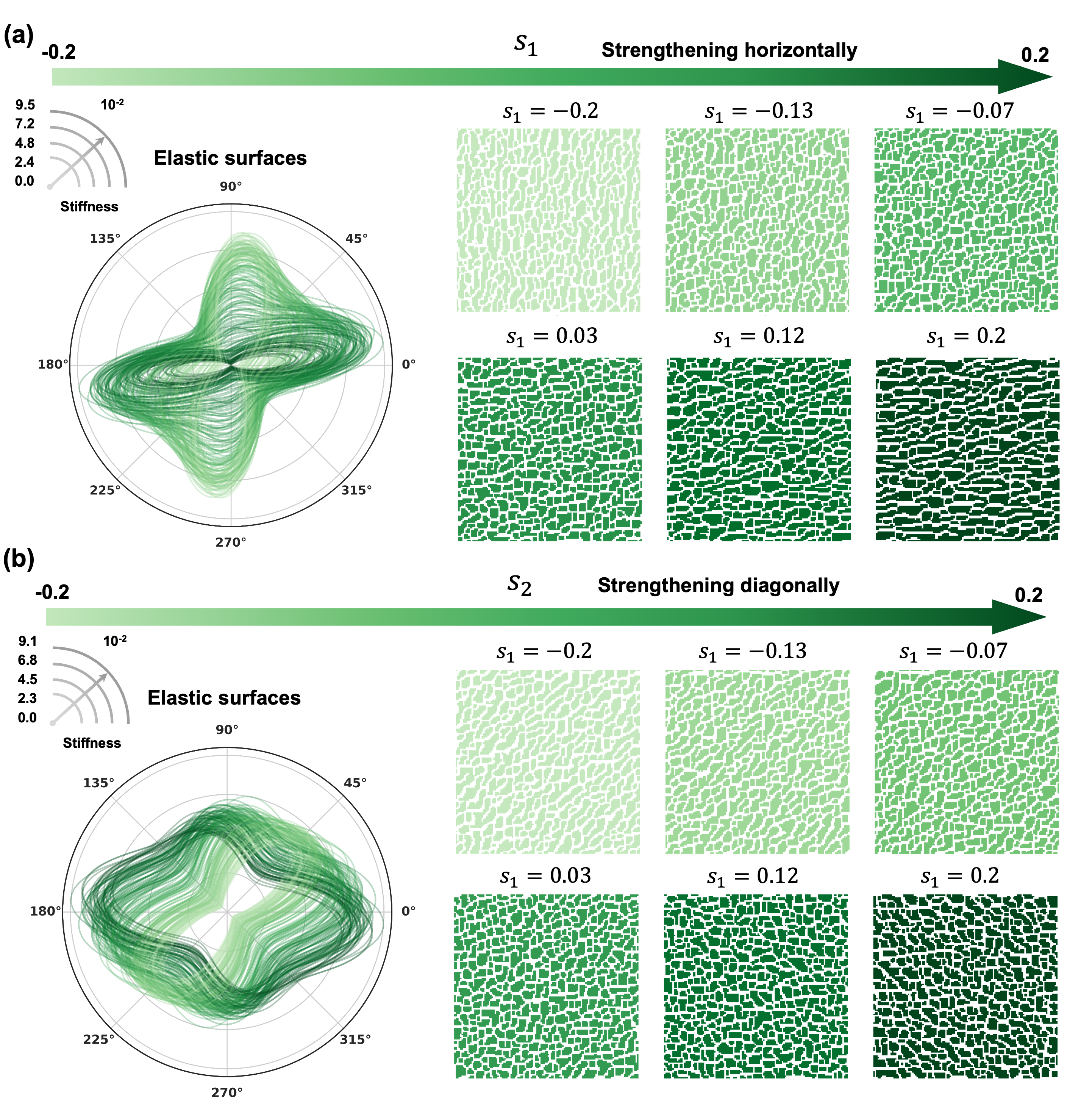 Figure 8: Generated microstructures and corresponding elastic surfaces under anisotropy steering, following the same layout as Fig. 6. (a) With increasing s_1, the principal stiffness shifts progressively from the vertical to the horizontal direction, demonstrating that s_1 provides dedicated control on anisotropy by manipulating the horizontal and vertical morphology. (b) With increasing s_2, the principal stiffness axes rotate between the off-diagonal and diagonal directions with a gradual change in the shear direction, demonstrating that s_2 provides an independent control over shear-dominated anisotropy that s_1 alone cannot access.