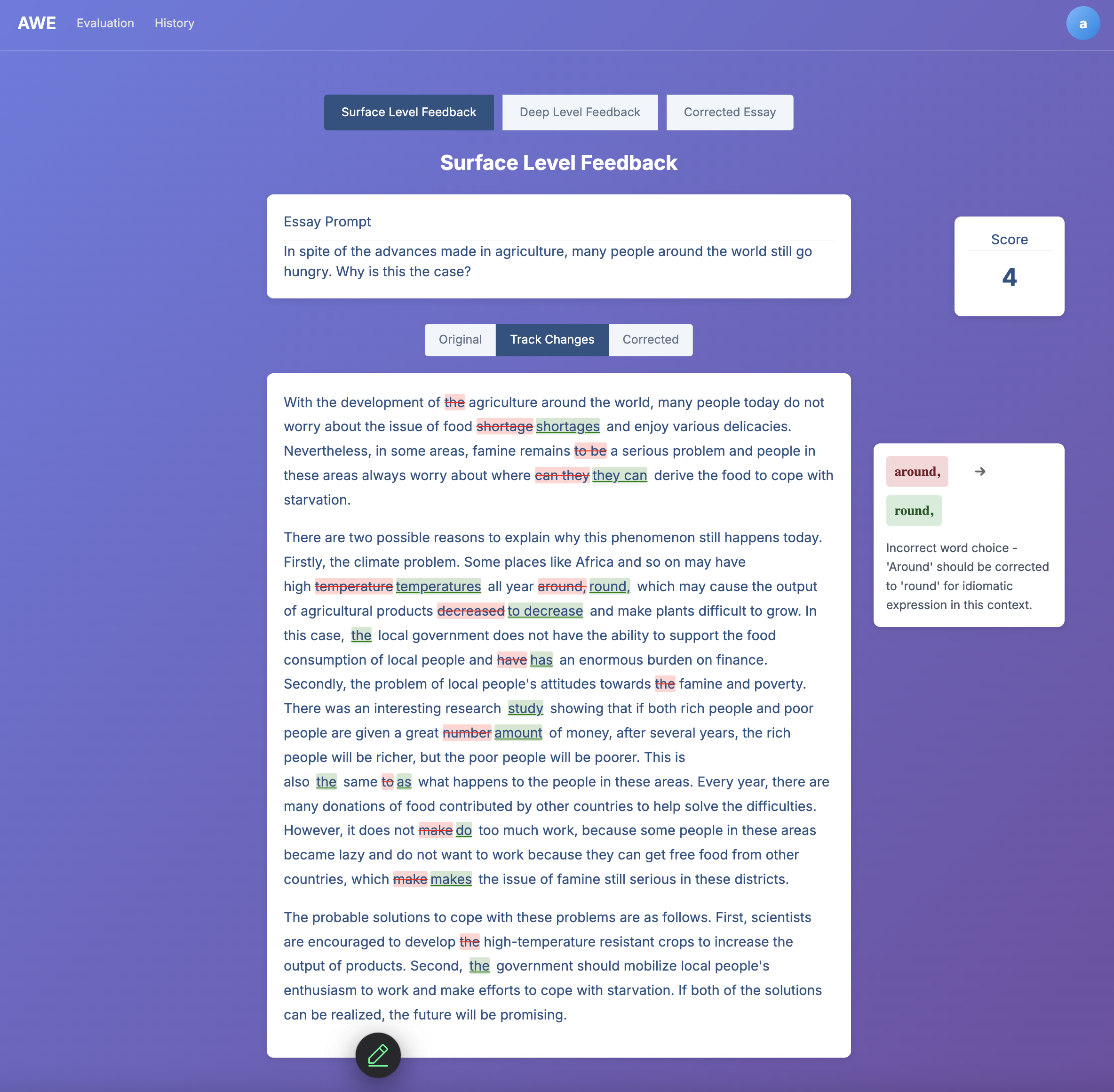 Figure 3: Screenshot of the surface-level feedback page - track changes