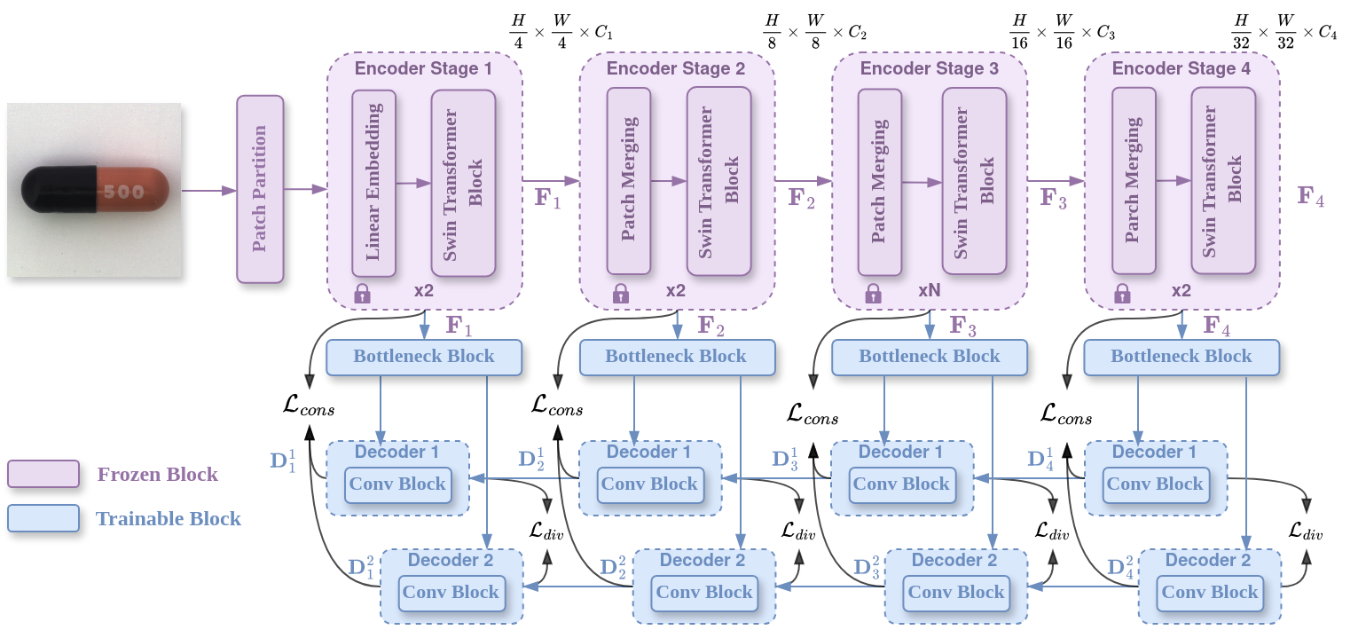 Figure 2: Illustration of the proposed SwinAD framework. A frozen pretrained Swin Transformer V2 first extracts hierarchical multi-scale features from the input image. These features are then aligned by stage-wise bottleneck modules with dropout and passed to a feature diversity-preserving reconstruction decoder, which produces complementary reconstructions at different scales. The differences between the encoder and reconstructed features are finally combined to generate the anomaly map.