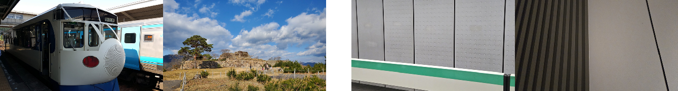 Figure 2: (Left) Examples from the normal dataset, where SIFT is expected to perform well. (Right) Examples from the linear dataset, where strong linear structures make registration challenging for SIFT.