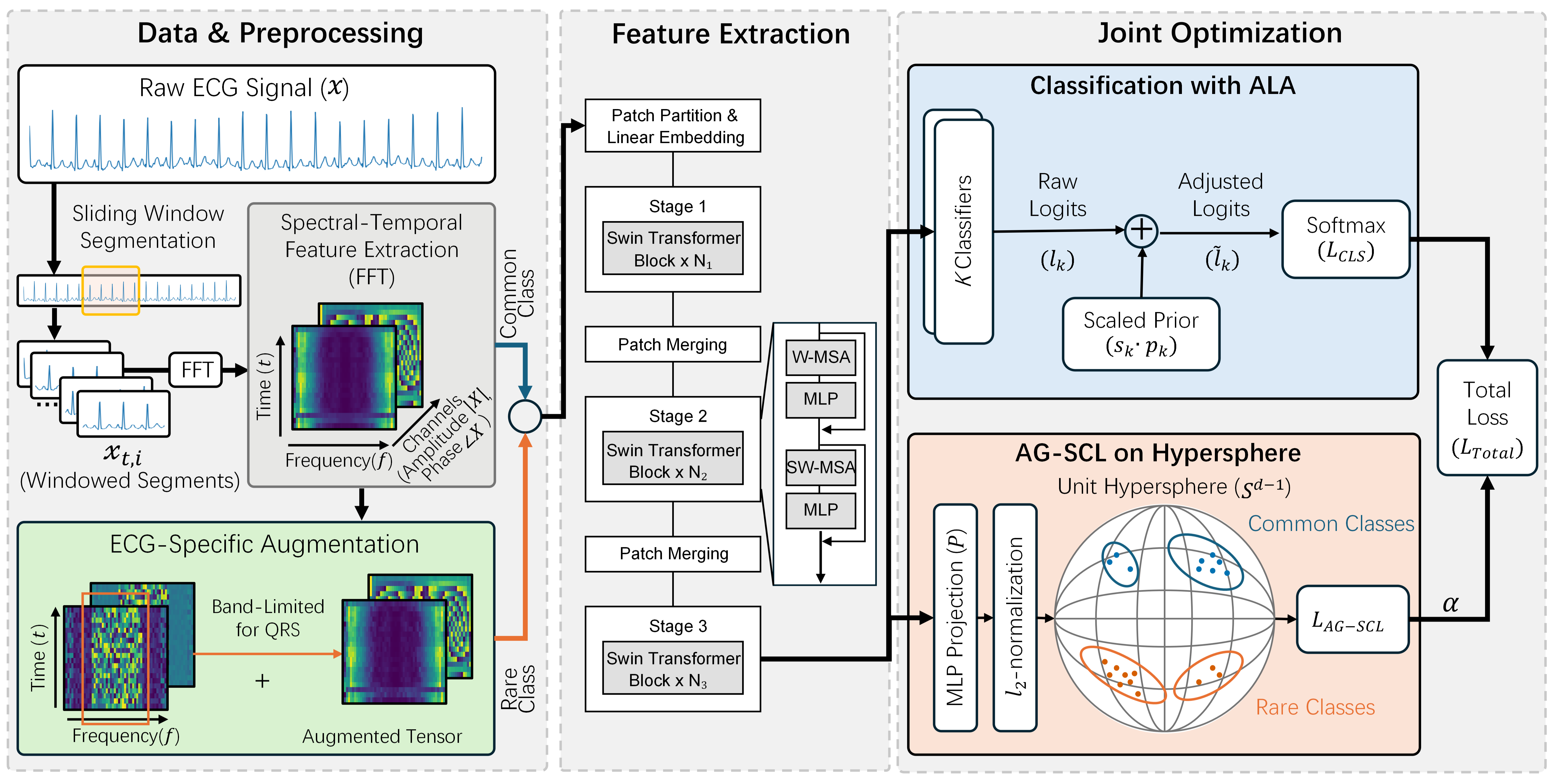 Figure 1: Overview of AG-SCL. ECG segments are converted to window-wise FFT magnitude–phase tensors, with band-limited augmentation (7–25 Hz protected) applied to tail-label records during training. A Swin-Transformer backbone extracts features, followed by dual branches: one learns anisotropic Angular Gaussian representations on the unit hypersphere, and the other calibrates class priors via Adaptive Logit Adjustment (ALA).