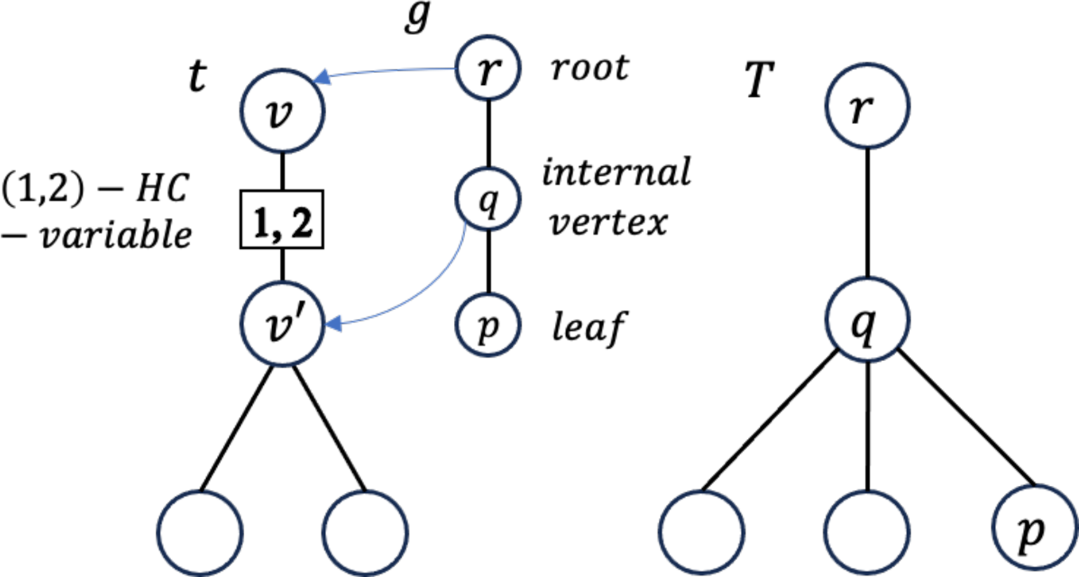 Figure 1: An instance matched only under the generalized model. The square denotes an (1,2)-HC-variable whose endpoints are the parent port v and the child port v'. Since v' is matched to the internal vertex q of the binding tree g, the instance is not matched under the previous leaf-restricted model but is matched under the generalized model.