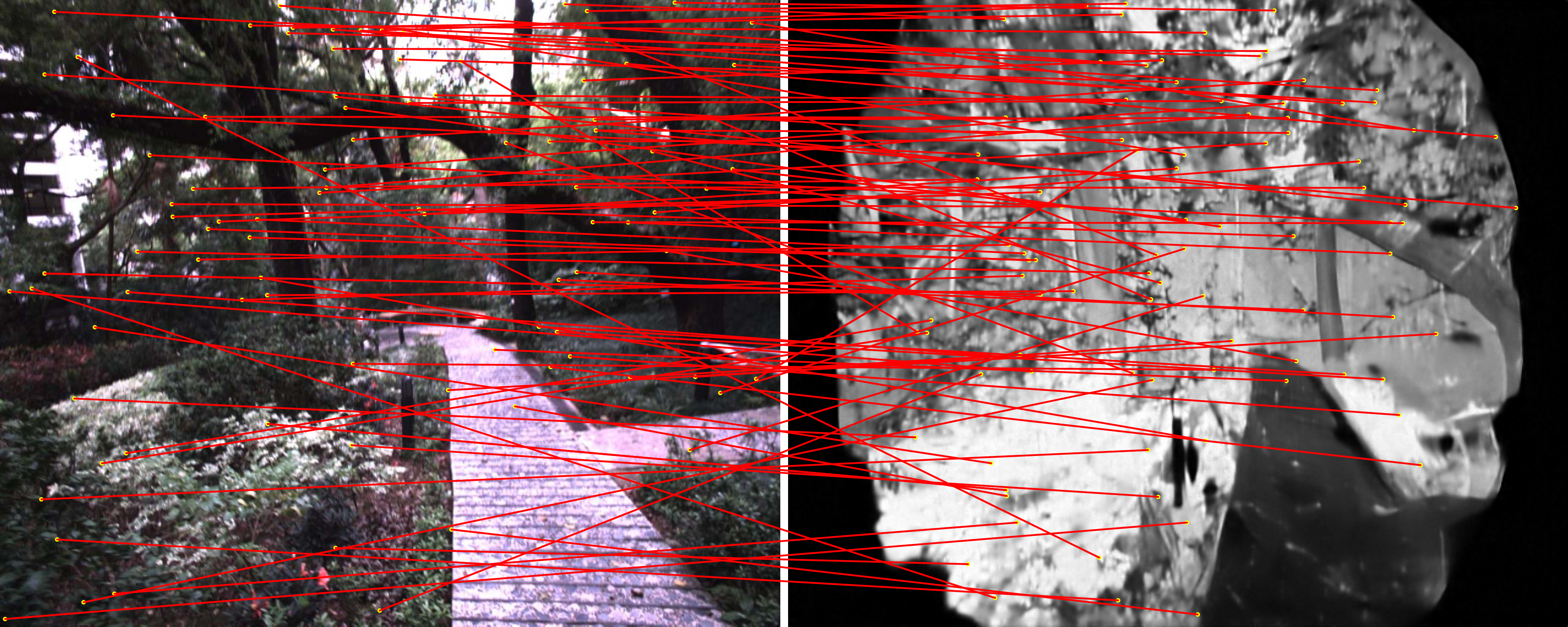 Figure 8: Failure case example in hku_park. The left shows a camera image and the right shows the generated LiDAR intensity image. Due to dense foliage and unstable generated LiDAR intensity, numerous false feature matches are observed.