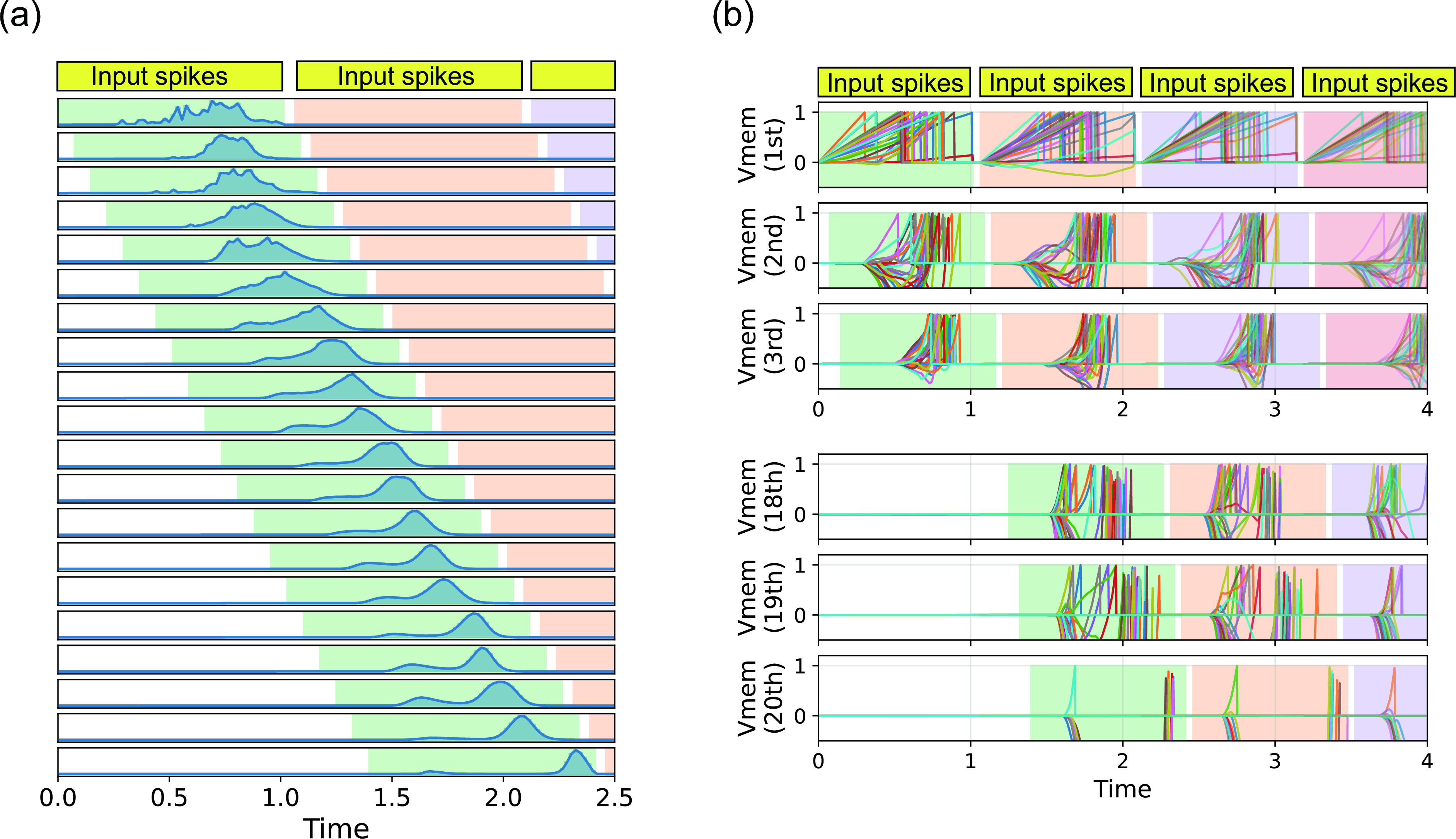 Figure 4: Training results for the 20-layer model (Syn-SNN-20). (a) Each panel shows the spike-time distribution of each layer, from the first layer at the top to the 20th layer at the bottom. The distributions were obtained by aggregating over all the test samples and all the neurons within each layer. Input spikes are projected in the interval [0,1]. The operating region of neurons in each layer, whose width is \tau_\text{width}, is masked in green. (b) Examples of the temporal evolution of the membrane potentials in the first three layers and the last three layers. Pipeline operation is shown for the case in which four data samples are input sequentially. In this scenario, the next data sample is input after a margin time of 0.05 following the end of the processing time of the previous sample. The background is masked with the same color for processing corresponding to the same data sample.