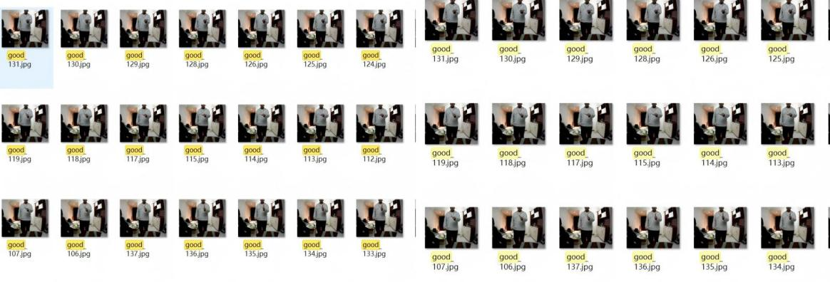 Figure 4: Representative samples from the custom dataset.