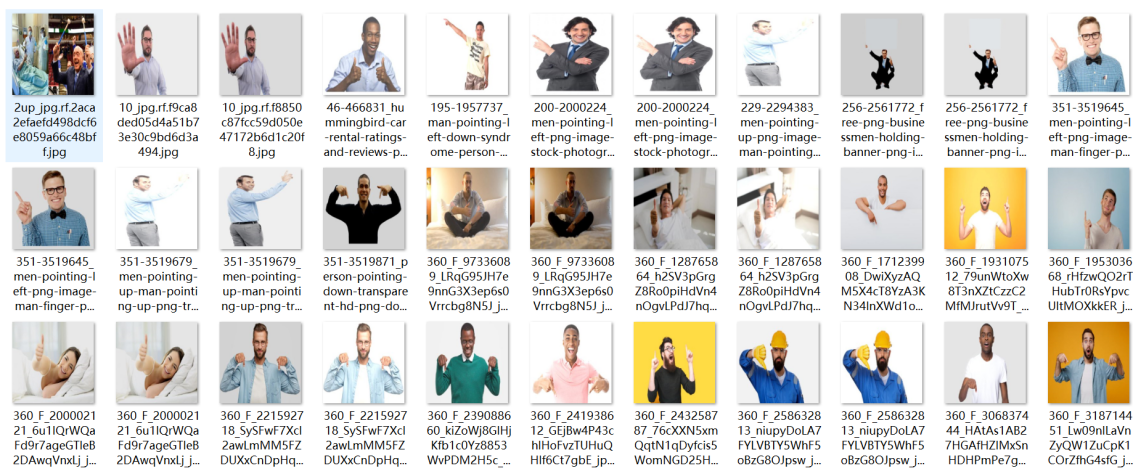 Figure 5: Representative samples from the public dataset.