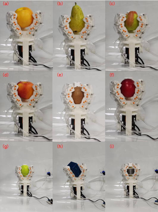 Figure 12: Grasping demonstrations of the proposed gripper on various real objects: (a) yellow peach; (b) pear; (c) July red pear; (d) apple; (e) kiwi; (f) plum; (g) tennis ball; (h) square box; (i) cylindrical coil.