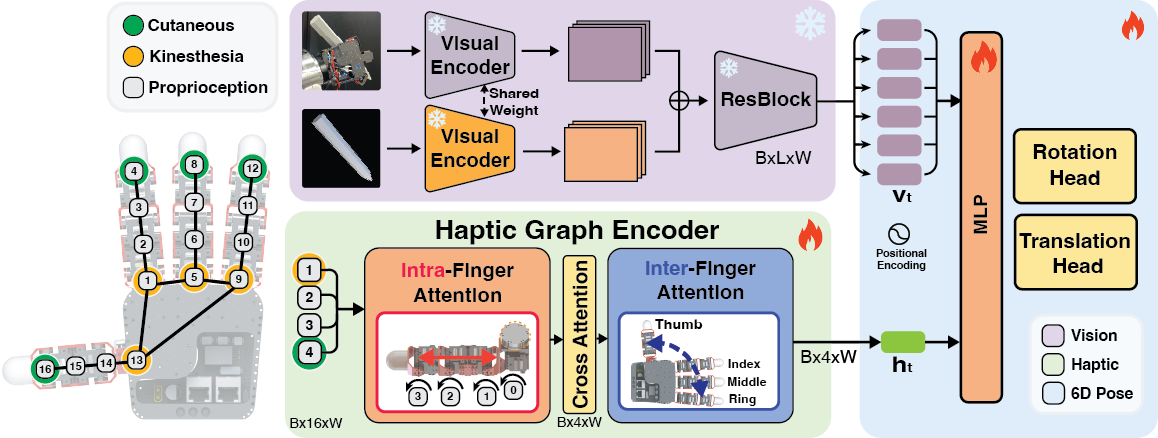 Figure 2: KineFuse framework. A shared visual encoder produces L{=}400 tokens from rendered and observed RGB-D crops; the Finger Graph Encoder maps 16-joint haptic signals to K{=}4 finger tokens. Both are concatenated and decoded by separate translation and rotation heads.