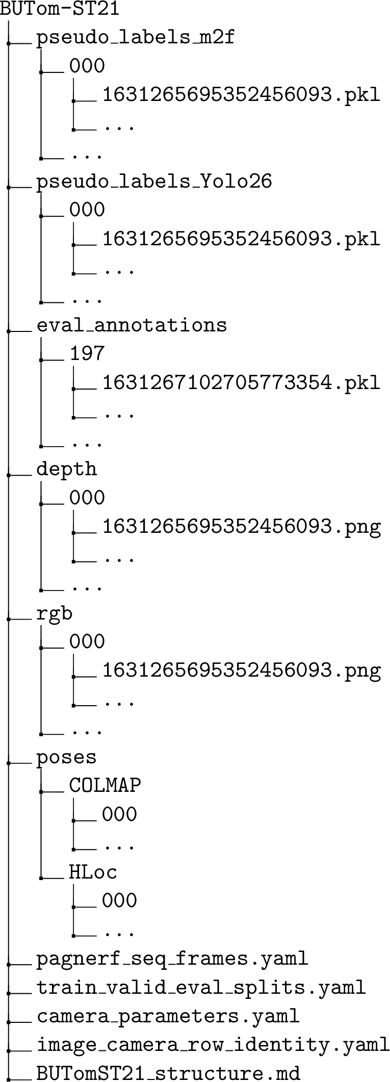 Figure 4: BUTom-ST21 data structure.