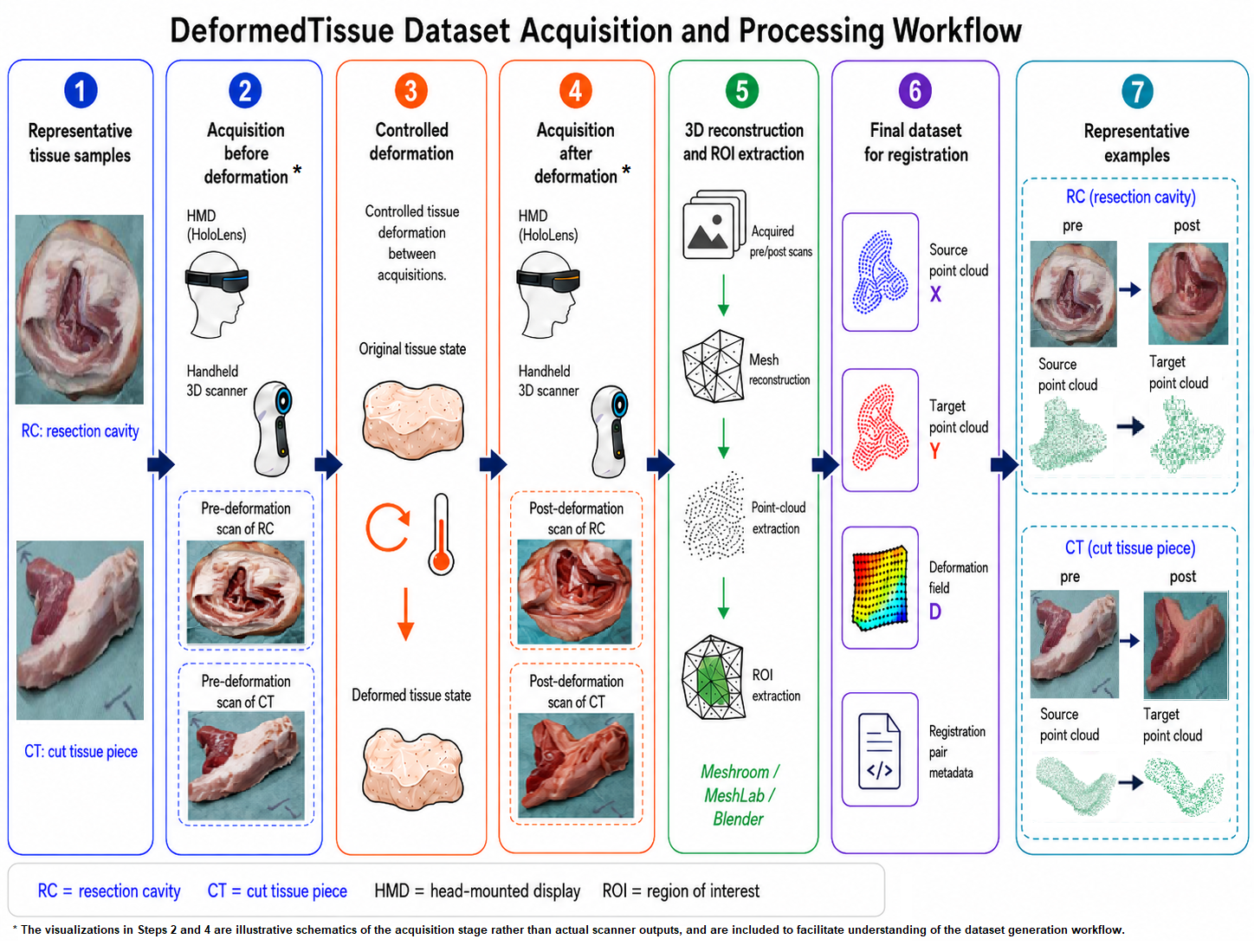 Figure 3: DeformedTissue dataset acquisition and processing workflow. Representative resection cavities (RC) and cut tissue pieces (CT) are acquired before and after controlled deformation using head-mounted-display and handheld 3D scanning. The acquired data are reconstructed and processed into meshes, point clouds, regions of interest, and source-target registration pairs for non-rigid registration. The scan views in Steps 2 and 4 are schematic graphical illustrations added for conceptual clarity and are not actual raw scanner outputs. Full details of the dataset generation, scanning protocol, deformation procedure, and 3D processing pipeline are provided in previous DeformedTissue studies [3], [4], [8].
