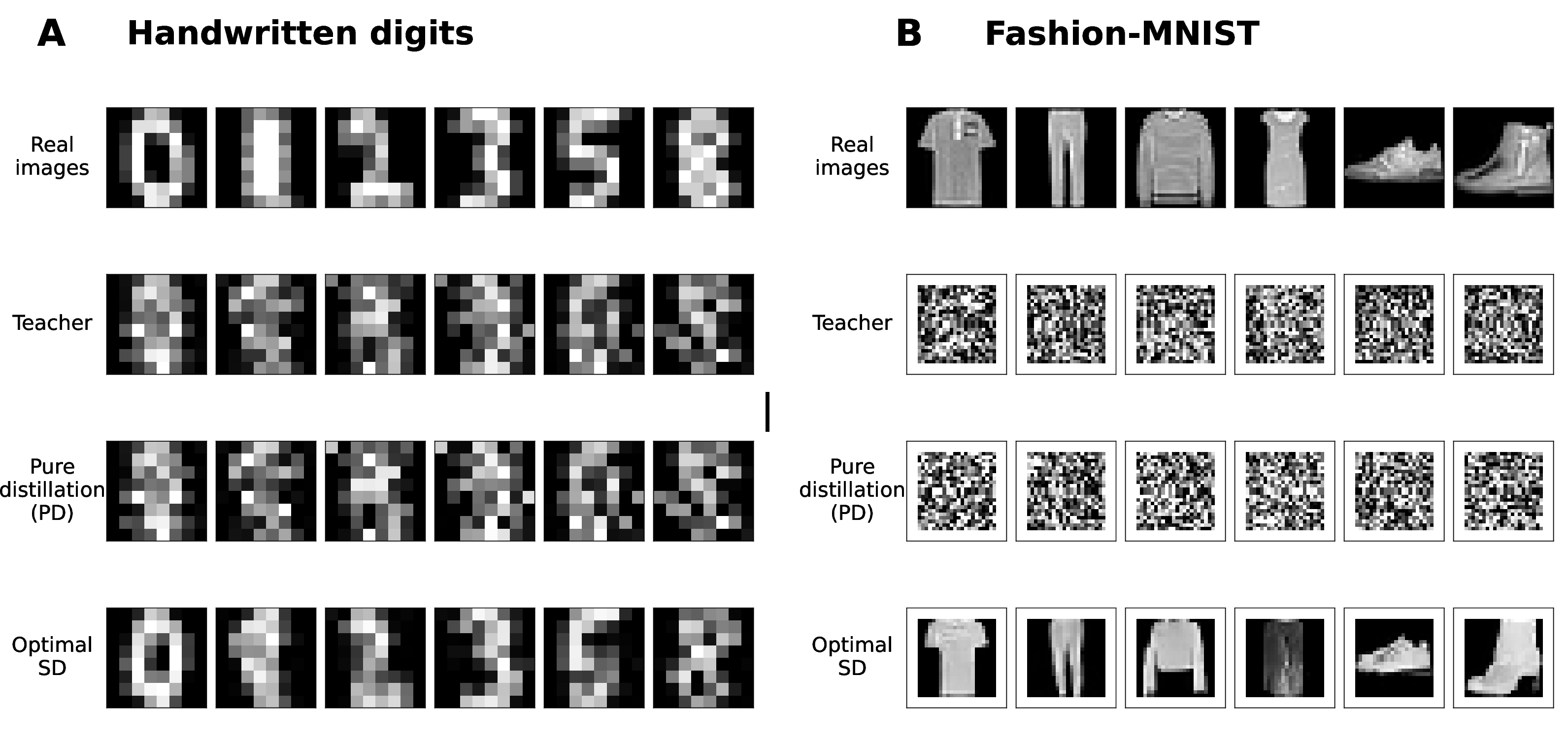 Figure 1: Optimal self-distillation corrects degraded RF teachers. In controlled stress tests on real images from handwritten digits and Fashion-MNIST, we scale down the teacher output to emulate an over-regularized or otherwise miscalibrated teacher field. The resulting teacher and pure-distilled student produce degraded samples, whereas validation selects a negative mixing coefficient for unconstrained SD, which recovers recognizable samples. The corresponding validation RF risks decrease from 1.237 to 0.415 on digits and from 0.828 to 0.210 on Fashion-MNIST.