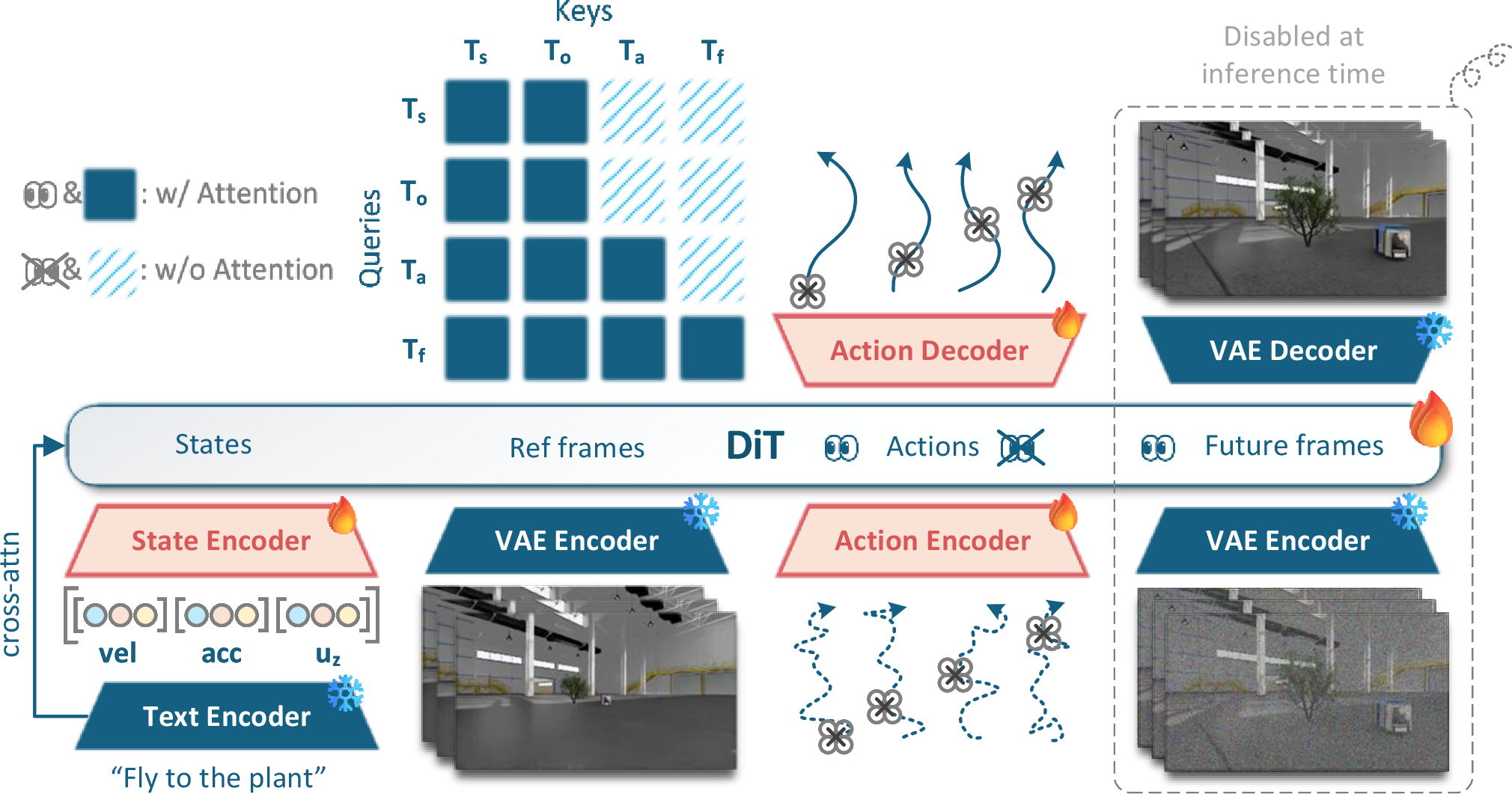 Figure 2: Action-centered world-action Transformer. Visual history, proprioception, and language condition the action decoder. Future-frame tokens are used during training as consequence supervision, but are masked from action tokens and can be disabled at inference time.