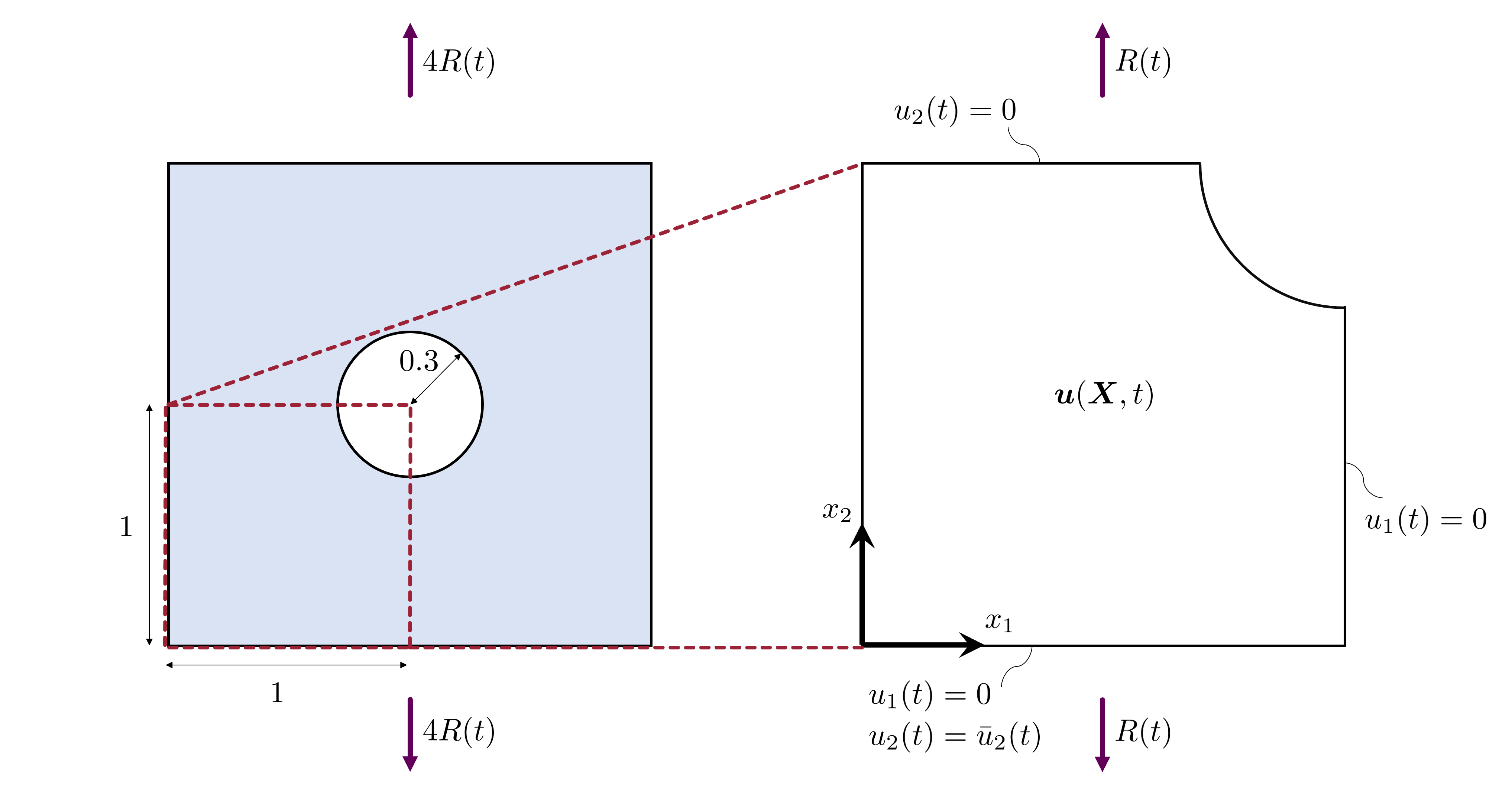 Figure 4: Specimen geometry (left) and symmetry-reduced computational domain with applied boundary conditions (right).