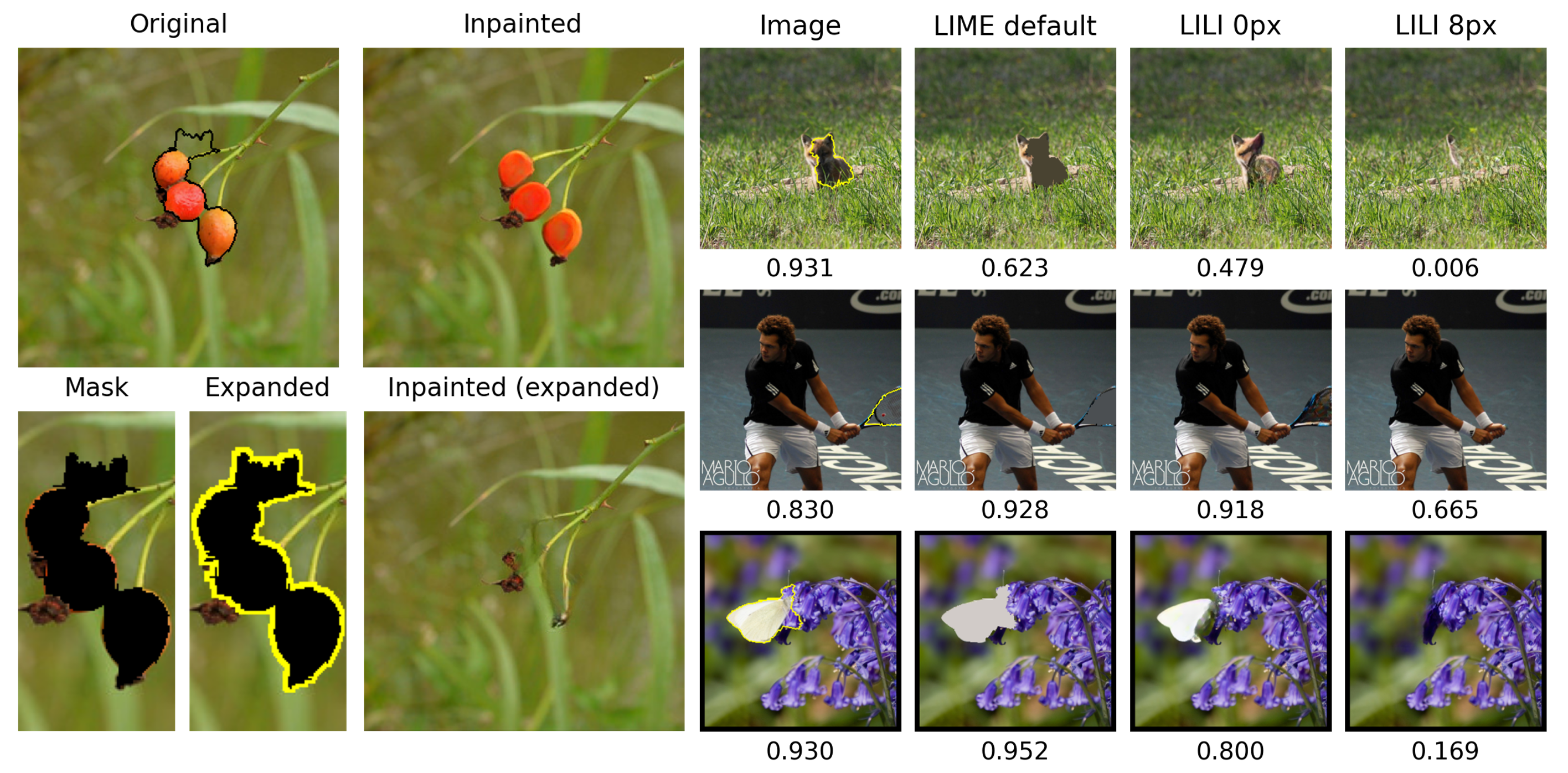 Figure 3: Motivation for perturbation mask expansion: The top-left image (original) shows three hips and a perturbation mask (black outline). The inpainted sample closely resembles the original, but the mask does not fully cover the hips. The expanded mask hides remaining artifacts, encouraging background replacement (see inpainted expanded). The right part shows perturbation effects on classification confidence (probabilities below). The image column displays the original and masked region (i.e., yellow outline). LIME default and LILI with 0 pixel expansion leave the instance visible with high confidence, while LILI with 8 pixel expansion removes it, causing a significant confidence drop.