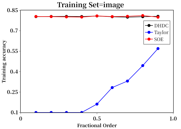 Figure 16: Classification accuracy as functions of the fractional order parameter for each individual training dataset.