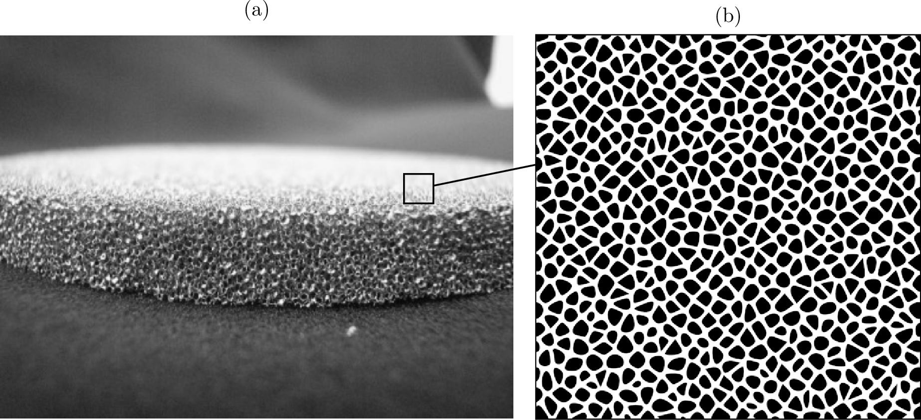 Figure 2: Manufactured cellular metal material: (a) open-cell molybdenum foam [52], [53] and (b) an example of a two-dimensional RVE with solid phase in white and pore space in black.
