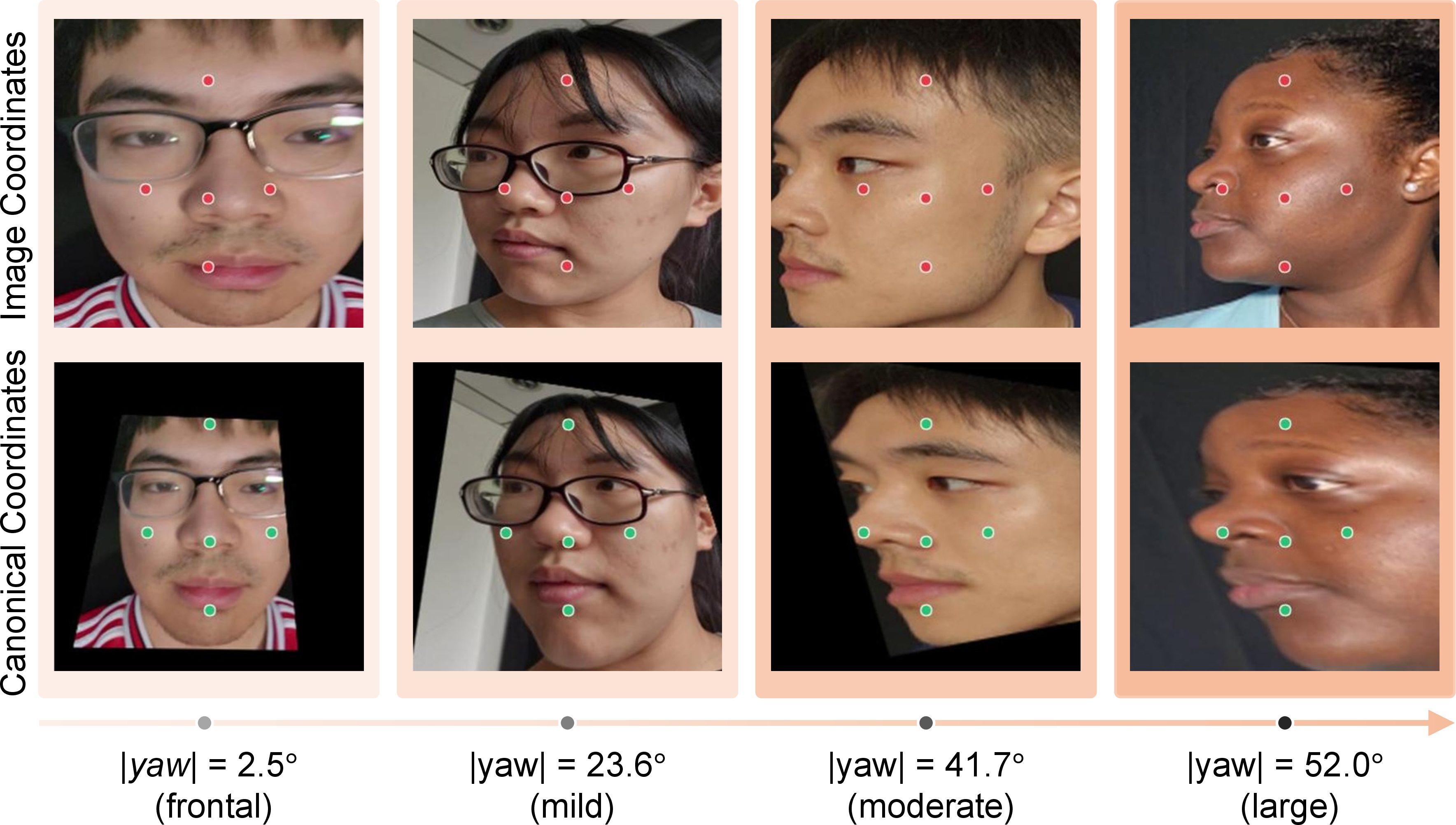Figure 1: Pose is a coordinate-structural nuisance for rPPG. (Top) On MMPD, as head yaw grows, a fixed image-coordinate pixel drifts across forehead, eyebrow, and temple; any architecture that reasons in image coordinates cannot assign a stable anatomical role to any pixel. (Bottom) Our proposed CanonicalPhys prepends a four-point homography that maps four facial anchors to fixed canonical positions, approximately restoring the dominant rigid component of the anatomy-to-pixel mapping.