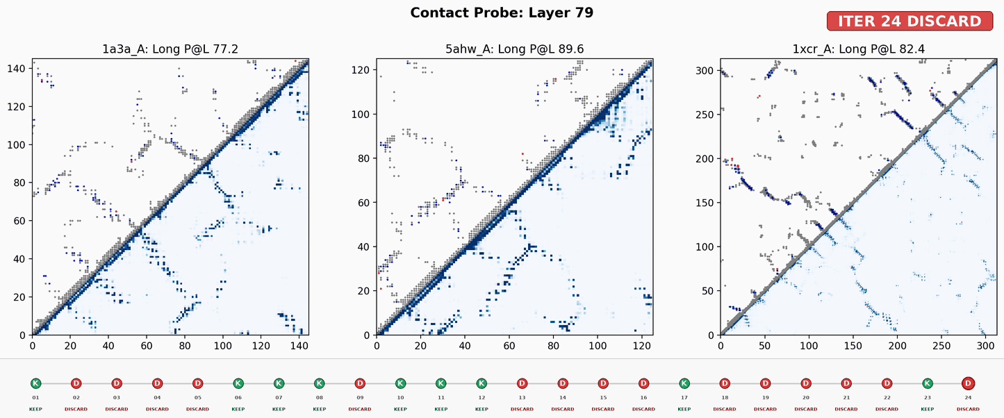Figure 6: Contact map visualizations for the three evaluation monomers (PDB IDs: 1a3a, 5ahw, 1xcr) from the representative AI4AI experiment (iteration 24). Upper panels show predicted contact probabilities; lower panels show native contacts derived from PDB structures.