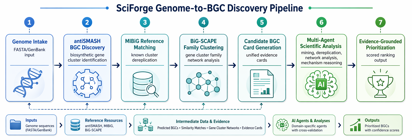 Figure 14: SciForge Genome-to-BGC Discovery pipeline. The workflow integrates genome intake, antiSMASH BGC discovery, MIBiG reference matching, BiG-SCAPE family clustering, Candidate BGC Card generation, multi-agent scientific analysis, and evidence-grounded prioritization into a single auditable research record.
