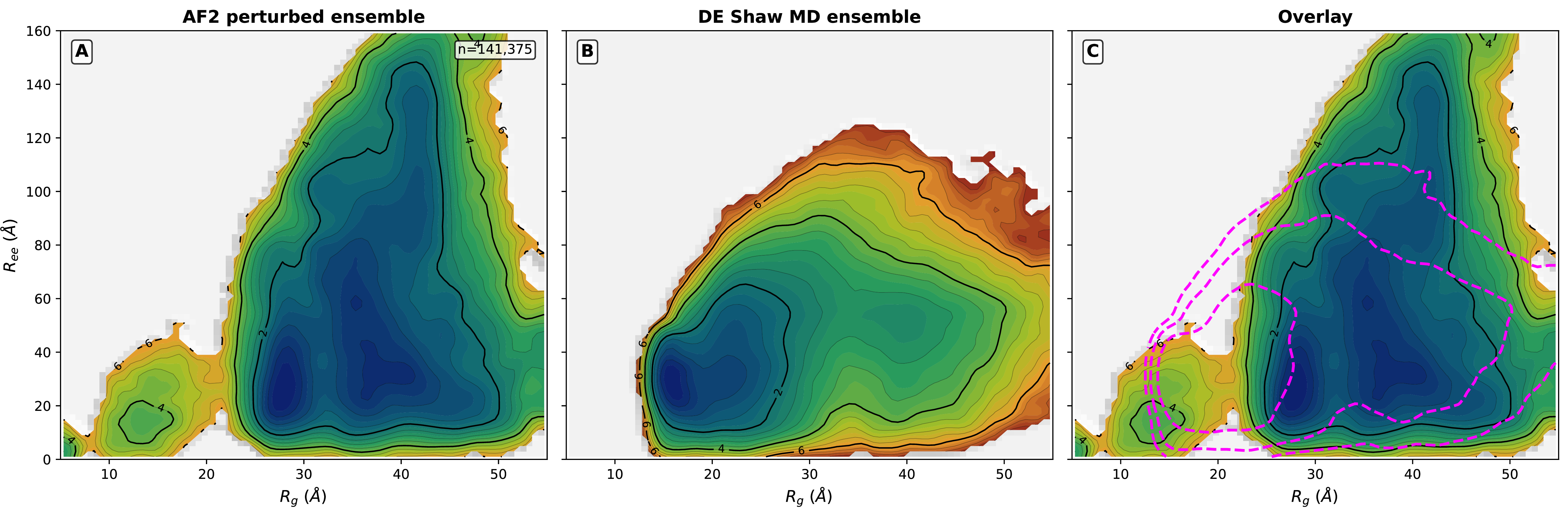 Figure 18: \alpha-synuclein: AF2 ensemble covers the MD-sampled core. (A) Pooled AF2 landscape across all 5 models (141,375 frames) in R_g–R_{ee} space. (B) DE Shaw explicit-solvent MD ensemble pooled across eight force-field variants (\sim​273 \mus total; Supplementary Table S1) in the same coordinate space. (C) Overlay: AF2 density (filled) with MD -\ln\,\rho = 2, 4, 6 contours (dashed magenta). The AF2 ensemble encompasses the MD-accessible region and extends beyond it in model-specific directions.