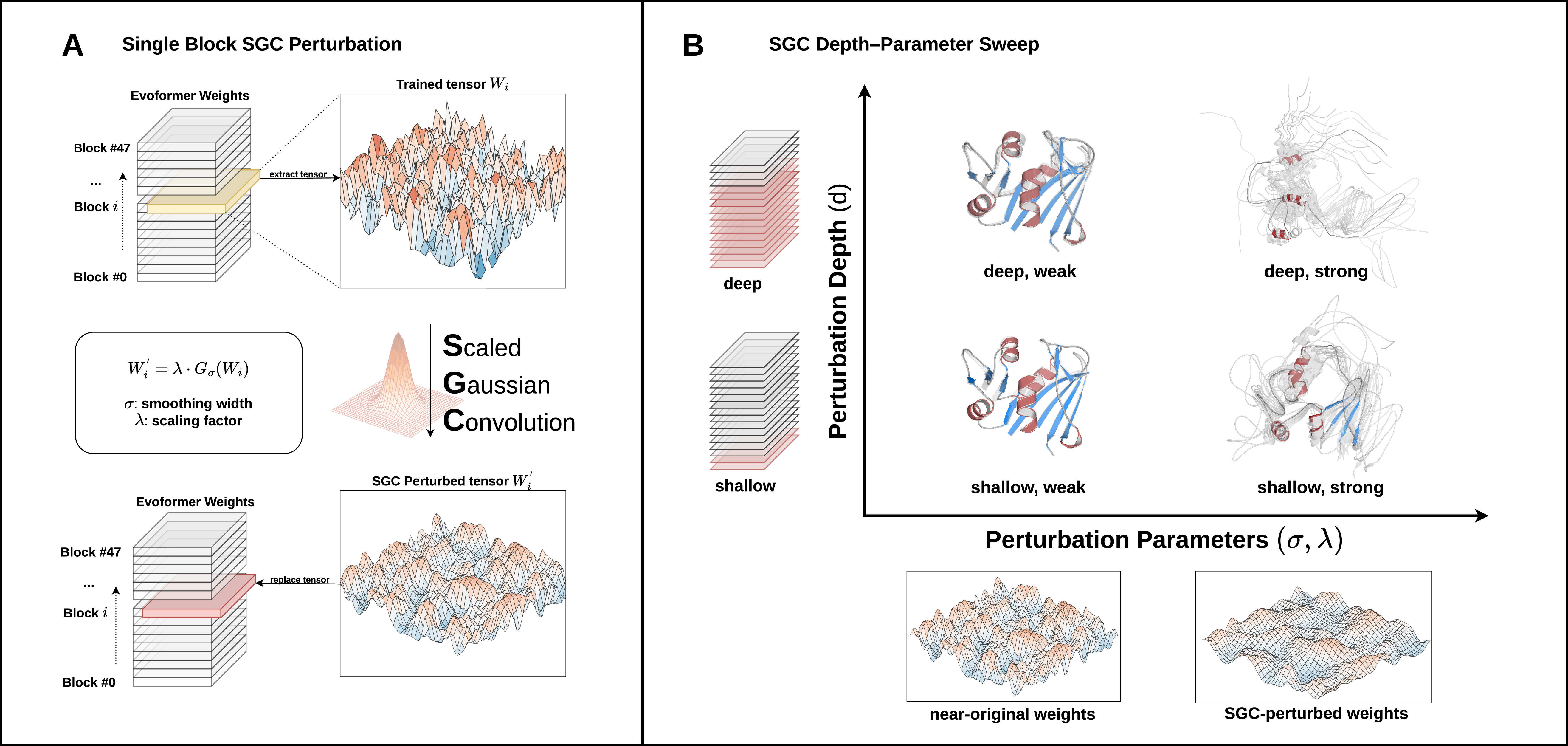 Figure 1: Scaled Gaussian convolution (SGC) perturbs Evoformer weights to probe encoded conformational structure. (A) SGC shown for one representative Evoformer block i. A trained weight tensor W_i is extracted, smoothed by Gaussian convolution with width \sigma, scaled by \lambda, and replaced as W'_i = \lambda G_\sigma(W_i) before inference. In depth-d experiments, the same operation is applied cumulatively to blocks 0,\ldots,d{-}1. (B) The perturbation sweep varies depth d and parameters (\sigma,\lambda), mapping how structural predictions change as progressively more Evoformer blocks are modified and the weight tensors are moved farther from their trained values.