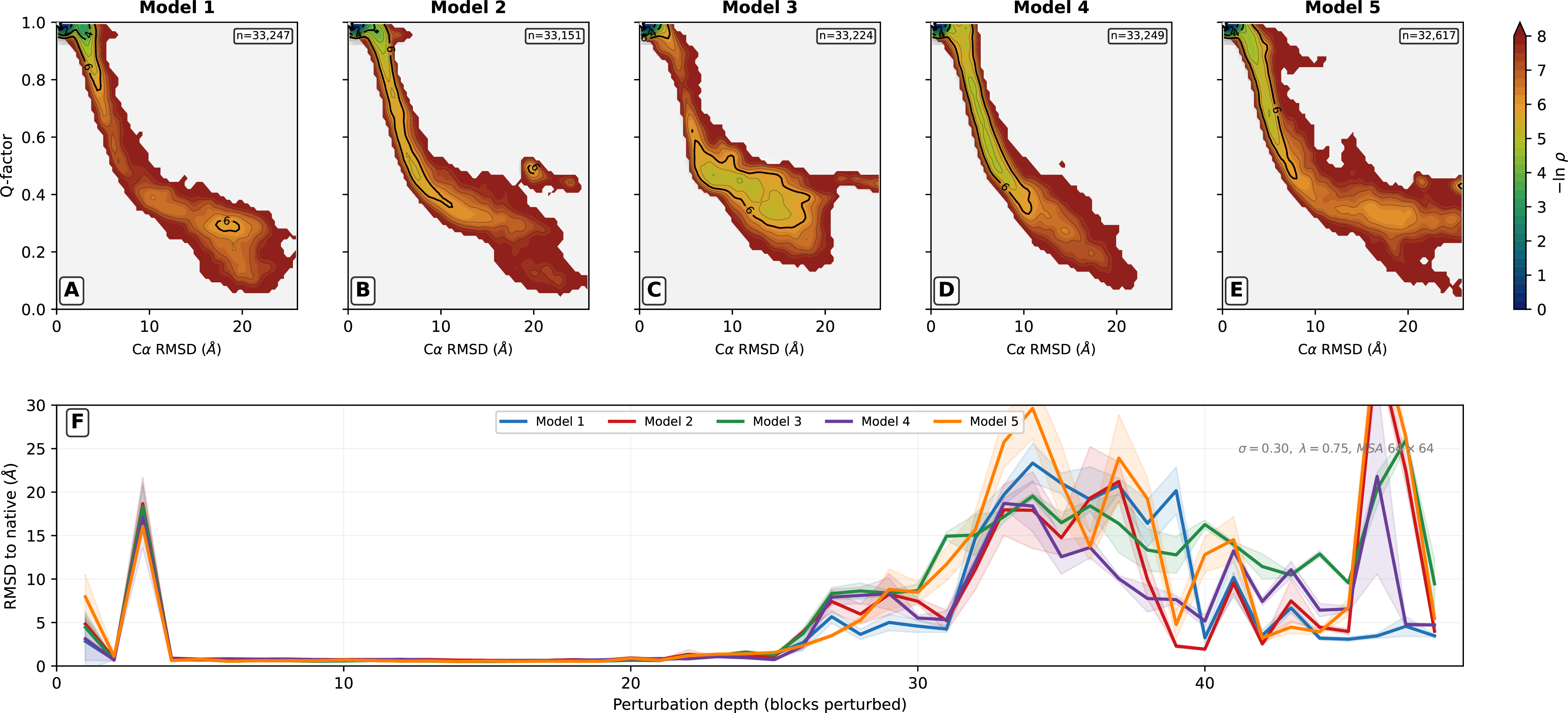 Figure 13: The encoding is model-independent. (A–E) Conformational landscapes (-\ln\,\rho density in RMSD–Q space) for each of the five AlphaFold2 models, pooling all recycles across 7 (\sigma, \lambda) combinations, 48 depths, and 3 seeds ({\sim}33{,}000 frames per model). All five models produce the same L-shaped topology: a dense native basin at low RMSD / high Q, a continuous ridge of partially unfolded intermediates, and an unfolded tail. White star marks the native crystal structure. RMSD axis truncated at the global 99.5th percentile (26 Å). (F) Final-recycle RMSD to native vs.perturbation depth at the reference condition (\sigma= 0.30, \lambda= 0.75), mean \pm s.d.over 3 seeds. The structural transition occurs at depth 24–26 in all models (spread of 2 blocks). The block-2 anomaly (depth 3) is universal. Models diverge in the deep-perturbation tail, where amplitude varies but topology does not. y-axis capped at 30 Å; maximum values reach 41.8 Å (model 5).