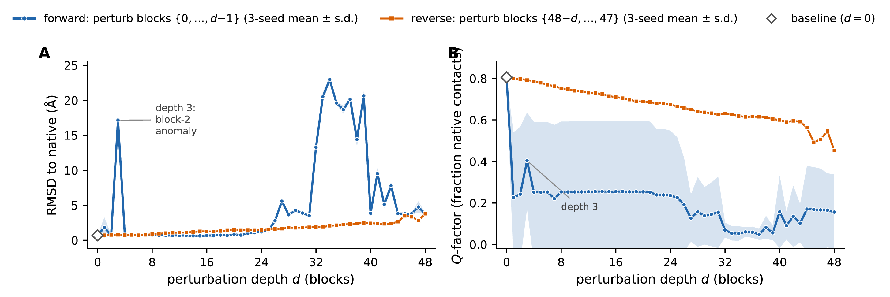 Figure 49: Forward-reverse perturbation asymmetry at the primary operating point. RMSD to native (A) and Q-factor (B) versus perturbation depth d (number of perturbed Evoformer blocks) for ubiquitin, model_1_ptm, \sigma= 0.30, \lambda= 0.75, MSA 64 \times 64. Forward (blue) and reverse (orange) both show 3-seed mean \pm s.d.(seeds 42, 43, 44). Forward perturbs blocks \{0, \ldots, d{-}1\}; reverse perturbs blocks \{48{-}d, \ldots, 47\}; d = 0 (grey diamond) marks the unperturbed baseline shared by both schemes; at d = 48 both schemes perturb the full Evoformer and are identical by definition (3-seed means overlap to within 0.01 Å). The depth-3 block-2 anomaly (Section 3.1) is annotated. Under forward perturbation the prediction enters a structural transition between depths 25 and 35 with RMSD peaking at 23.0 Å and Q collapsing below 0.1; under reverse perturbation both metrics drift gradually and neither reaches the forward-transition regime at any depth. If the response were position-independent at matched d, the two curves should be similar; the visible separation between depths \sim​25–44 is the asymmetry cited in the Discussion as supporting evidence (Section 3.7).