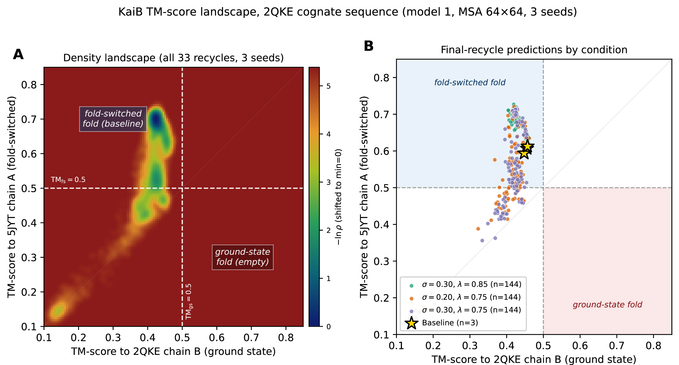 Figure 28: KaiB TM-score landscape under the cognate 2QKE sequence. Companion to main-text Section 3.10 (footnote). The default AF2 input used throughout the main KaiB analysis is the S.elongatus PCC 7942 sequence (UniProt Q79PF5), which is \sim​85% identical to both reference structures (2QKE from S.elongatus, 5JYT from T.elongatus with fold-switch-stabilizing mutations [38], [39]). To eliminate the homolog gap between AF2 input and ground-state reference, we repeated the experiment using the 2QKE chain B sequence directly as AF2 input (108 aa). (A) Density landscape pooling all 33 recycling iterations across 3 seeds and 3 perturbation conditions (14,355 frames, model 1 only). Density is concentrated in the fold-switched quadrant (TM_\text{fs} > 0.5) and along the denaturation diagonal; the ground-state quadrant (TM_\text{gs} > 0.5) is empty at all depths. (B) Final-recycle predictions by perturbation condition (n=435 final-recycle frames). All three conditions — ranging from mild (\sigma= 0.30, \lambda= 0.85) to strong (\sigma= 0.30, \lambda= 0.75) — produce structures that migrate away from the fold-switched baseline along the shared denaturation axis. No frame crosses TM_\text{gs} > 0.5; the maximum TM_\text{gs} observed across all 14,355 frames is 0.467. The gold star marks the unperturbed baseline prediction (TM_\text{gs} \approx 0.44, TM_\text{fs} \approx 0.72). The diagonal dotted line shows the reference cross-TM(2QKE, 5JYT) axis; crossing it would indicate motion from one fold basin to the other. None of the perturbed predictions do. Taken together, this figure confirms that the convergent absence of fold-switching reported in Section 3.10 is not an artifact of the \sim​15% sequence difference between Q79PF5 and the 2QKE reference. This cognate-sequence run uses model 1 only; it serves as a control for the sequence-gap concern rather than a full five-model replication.