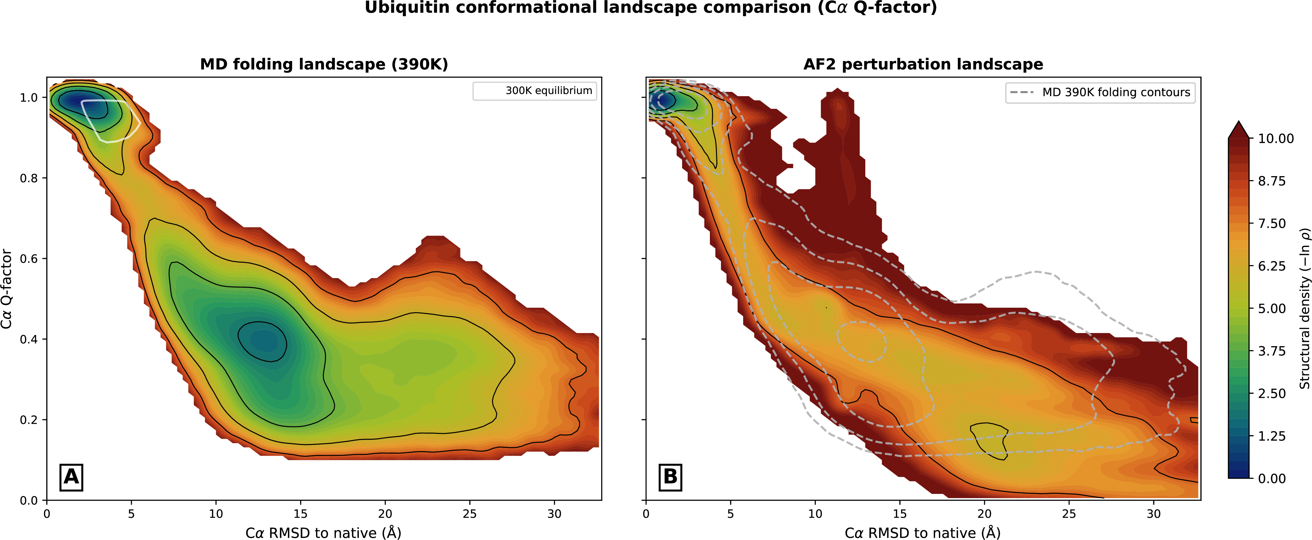 Figure 26: Ubiquitin conformational landscape using C\alpha-only contacts. Companion to Figure 7 of the main text, with Q-factor recomputed from C\alpha-only native contacts (12 Å cutoff, sequence separation \geq 3) rather than heavy-atom BHE. (A) Structural density landscape from 673,519 MD frames at 390 K (Piana et al. [23]) plotted as -\ln\rho on C\alpha RMSD \times C\alpha Q-factor axes; white outline marks the 300 K equilibrium region (82,280 frames, CHARMM22*/TIP3P + CHARMM36m [24]). (B) AF2 perturbation landscape (912,384 frames, model_1_ptm, full \sigma/\lambda grid). Dashed magenta contours reproduce the MD 390 K folding contours for direct comparison. Under the C\alpha-only definition, both AF2 and MD reach Q = 1.0 at the native state (the heavy-atom offset at Q = 0.806 reflects imprecise sidechain placement rather than missing backbone contacts). Both landscapes share the same L-shaped topology; kNN territory coverage is 65.0%, stable across k = 5–80. This confirms that the topological agreement reported in the main text is robust to the choice of contact definition.