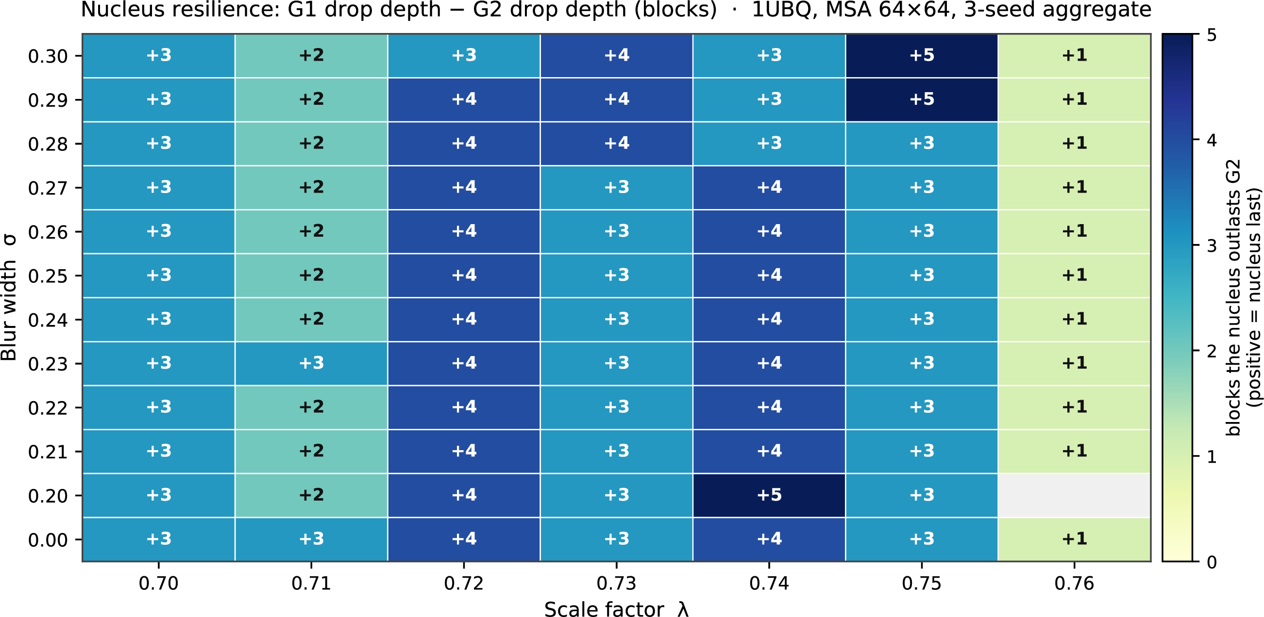 Figure 37: The nucleus consistently outlasts the intermediate across the \sigma\times \lambda grid. Difference between the first depth at which G1 (nucleus) sustains Q < 0.5 for three consecutive depths and the equivalent depth for G2 (intermediate). Positive values (darker blue) indicate the nucleus survives longer. Of the 84 (\sigma, \lambda) conditions in which both groups cross the 0.5 threshold, all 84 show the nucleus outlasting the intermediate. The tested range (\sigma= 0.00–0.30, \lambda= 0.70–0.77) spans the entire transition boundary and the regime immediately below it. Blank cells correspond to conditions where one or both groups never cross Q < 0.5 within depth 48. 1UBQ, model 1, MSA 64 \times 64, 3-seed aggregate.
